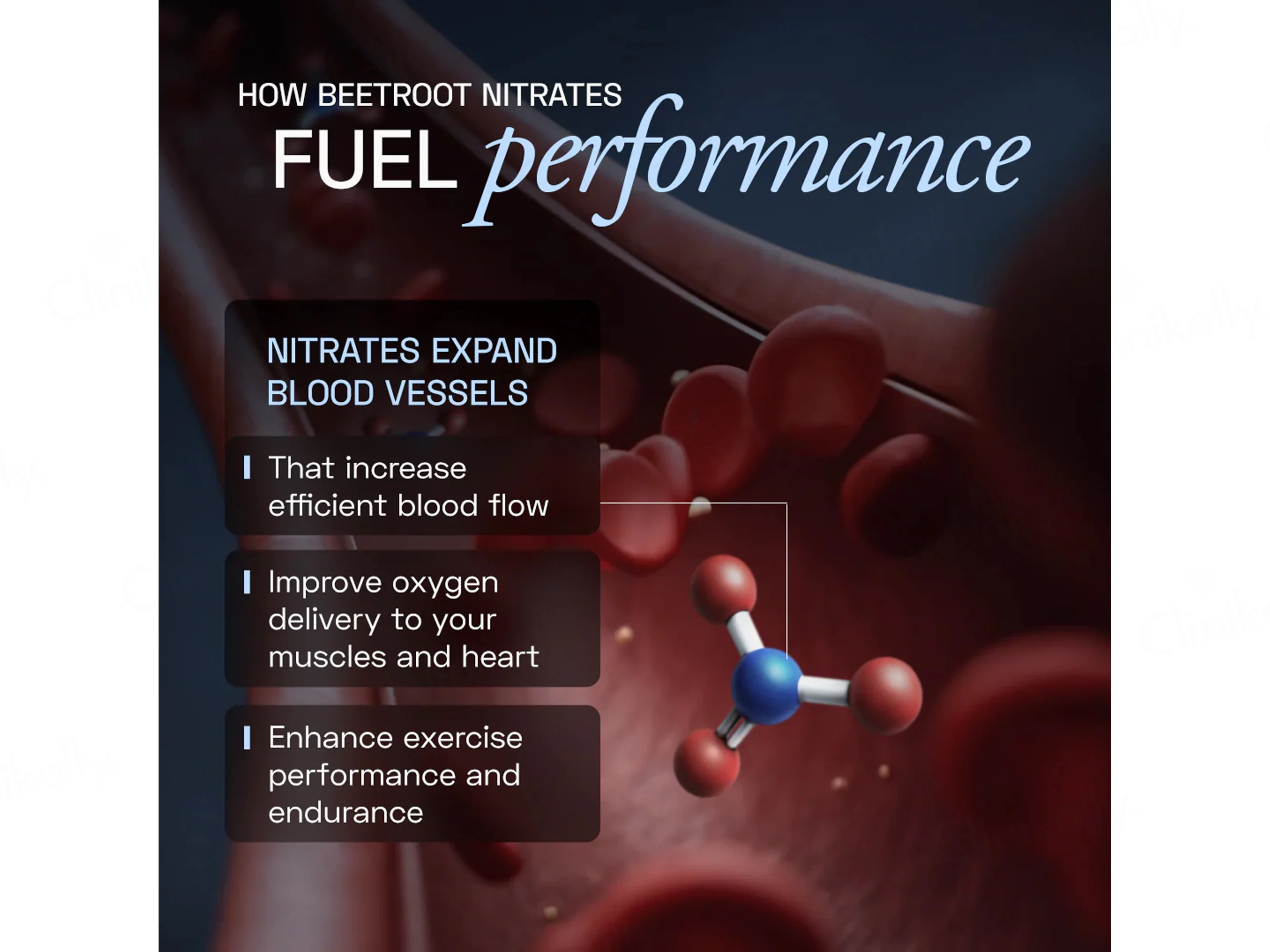 Ace Blend Trubeet Hydro Hype Deep Hydration Nutraceutical Powder - Image 7