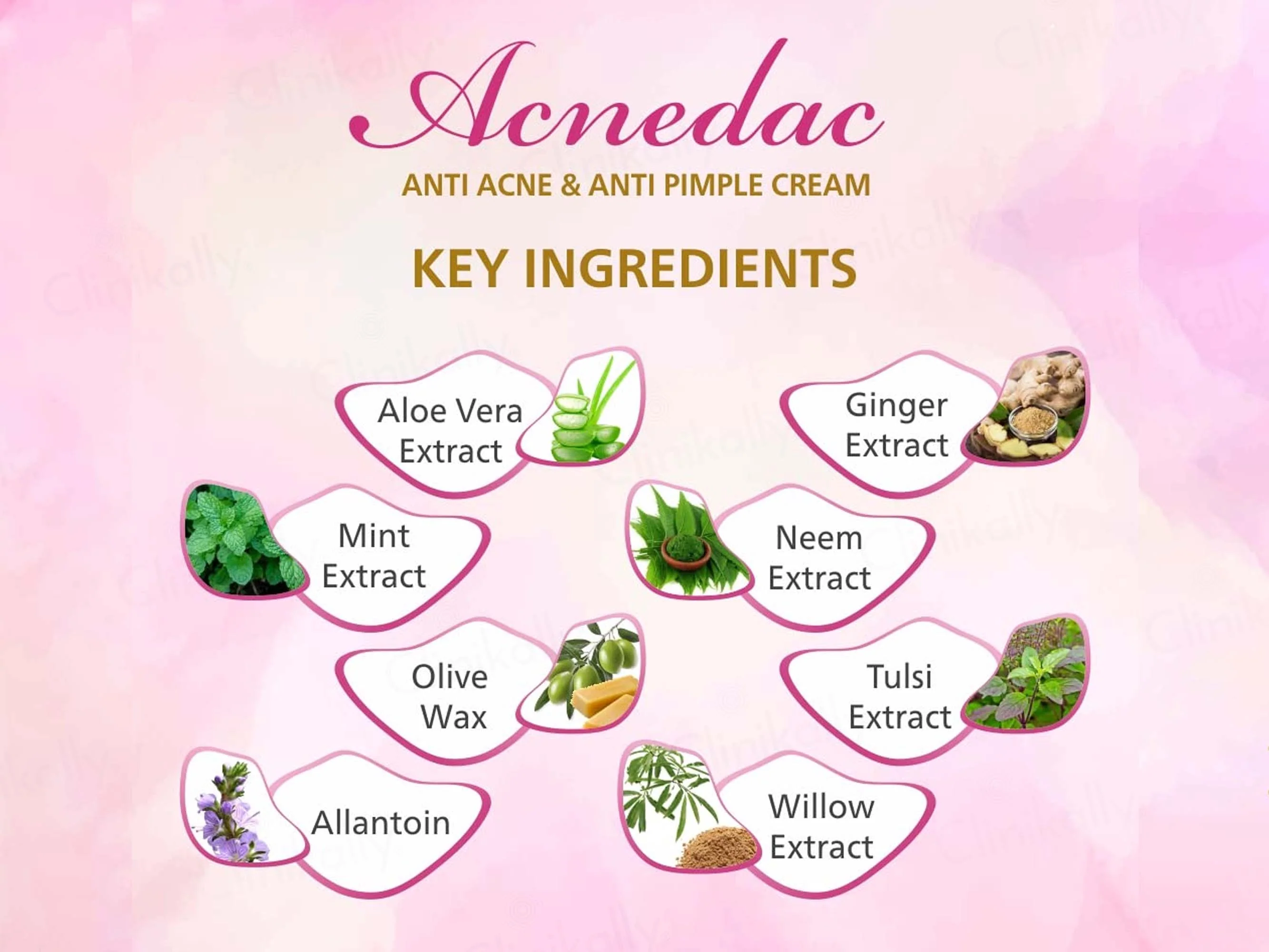 Acnedac pH Balanced Anti Acne & Anti Pimple Cream - Image 5
