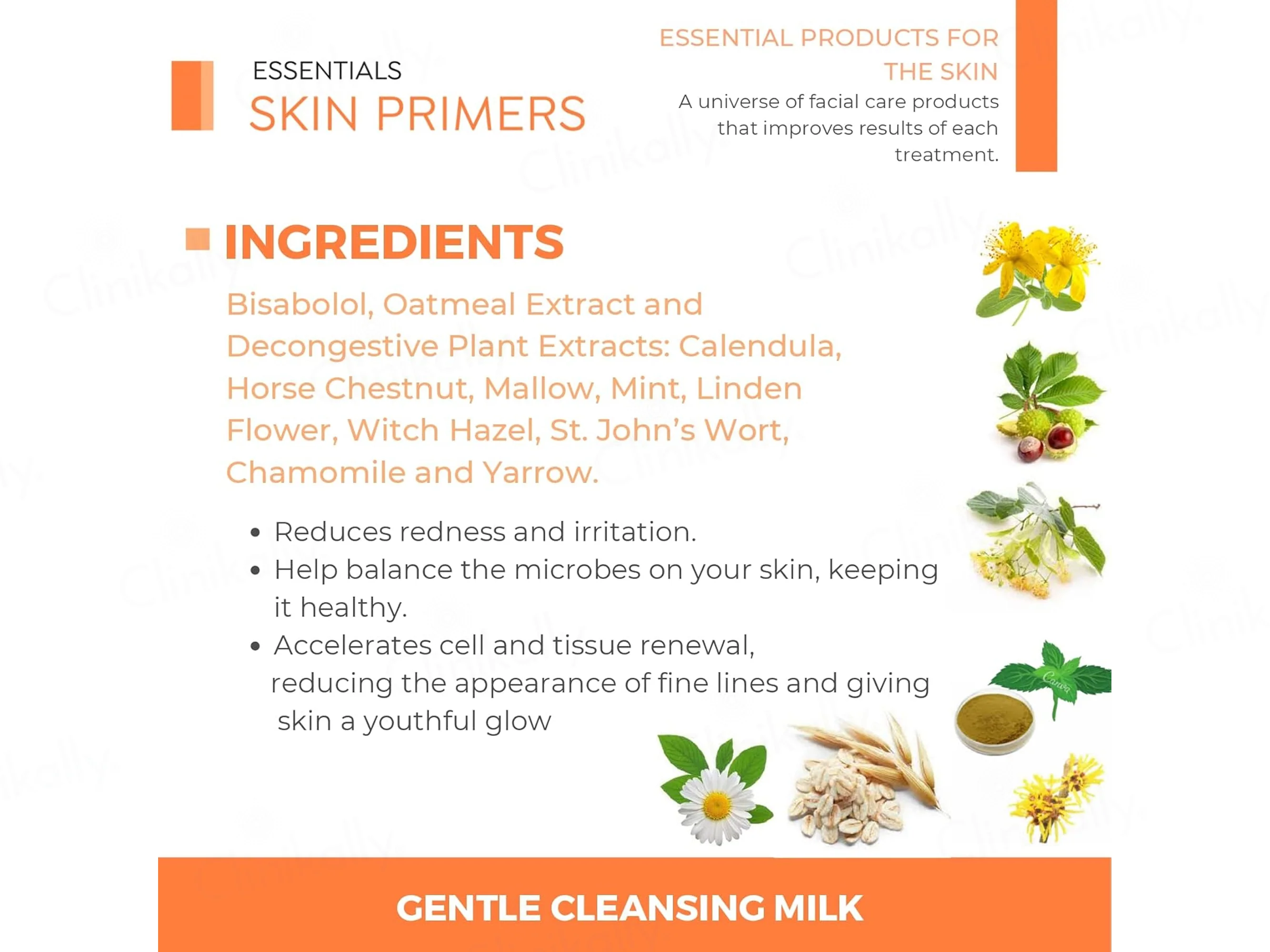 Ainhoa Skin Primers Gentle Cleansing Milk For Sensitive Skin - Image 4