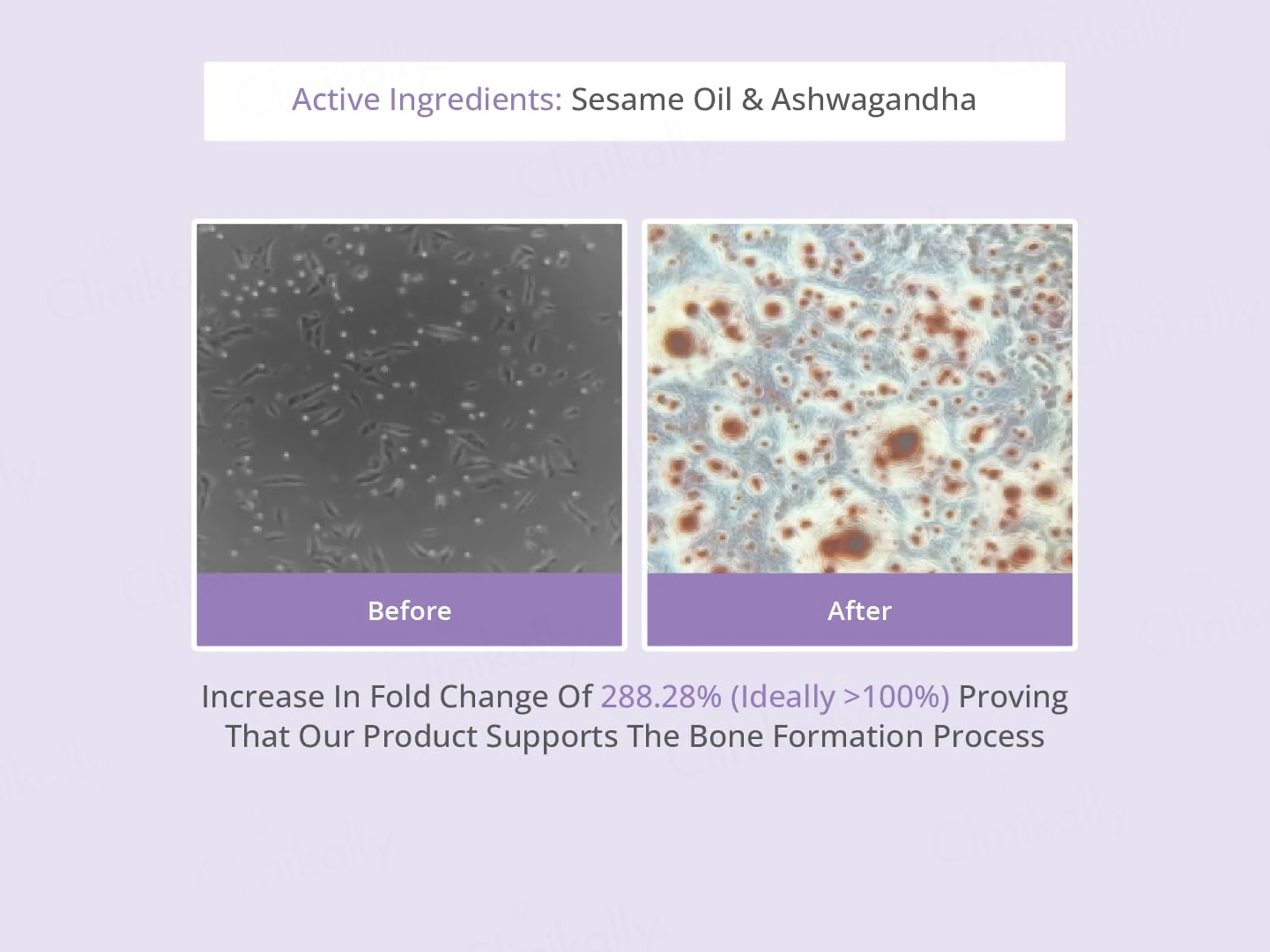 Areoveda Baby Massage Oil - Image 7