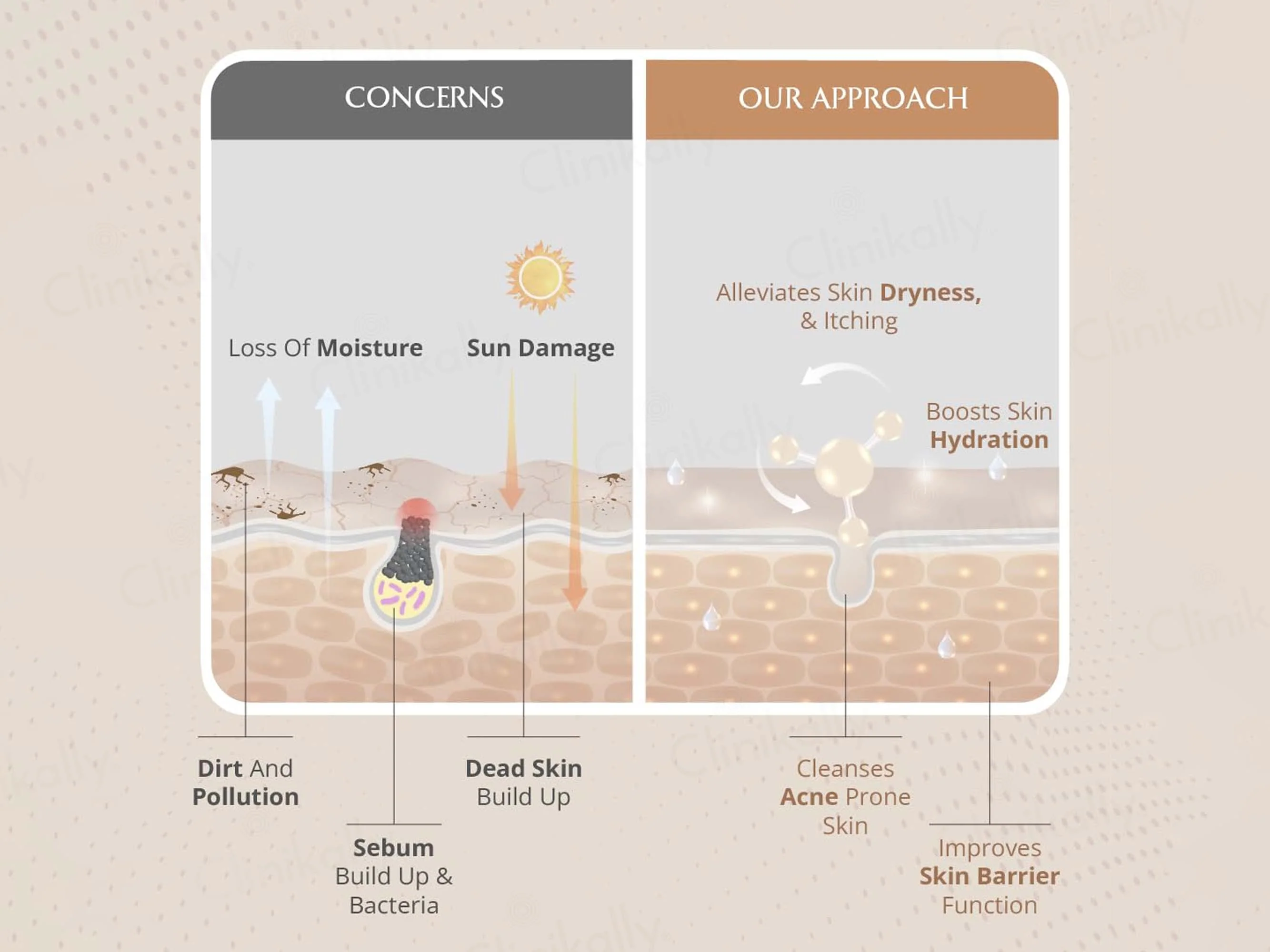 Areoveda Foam Face Wash - Image 7