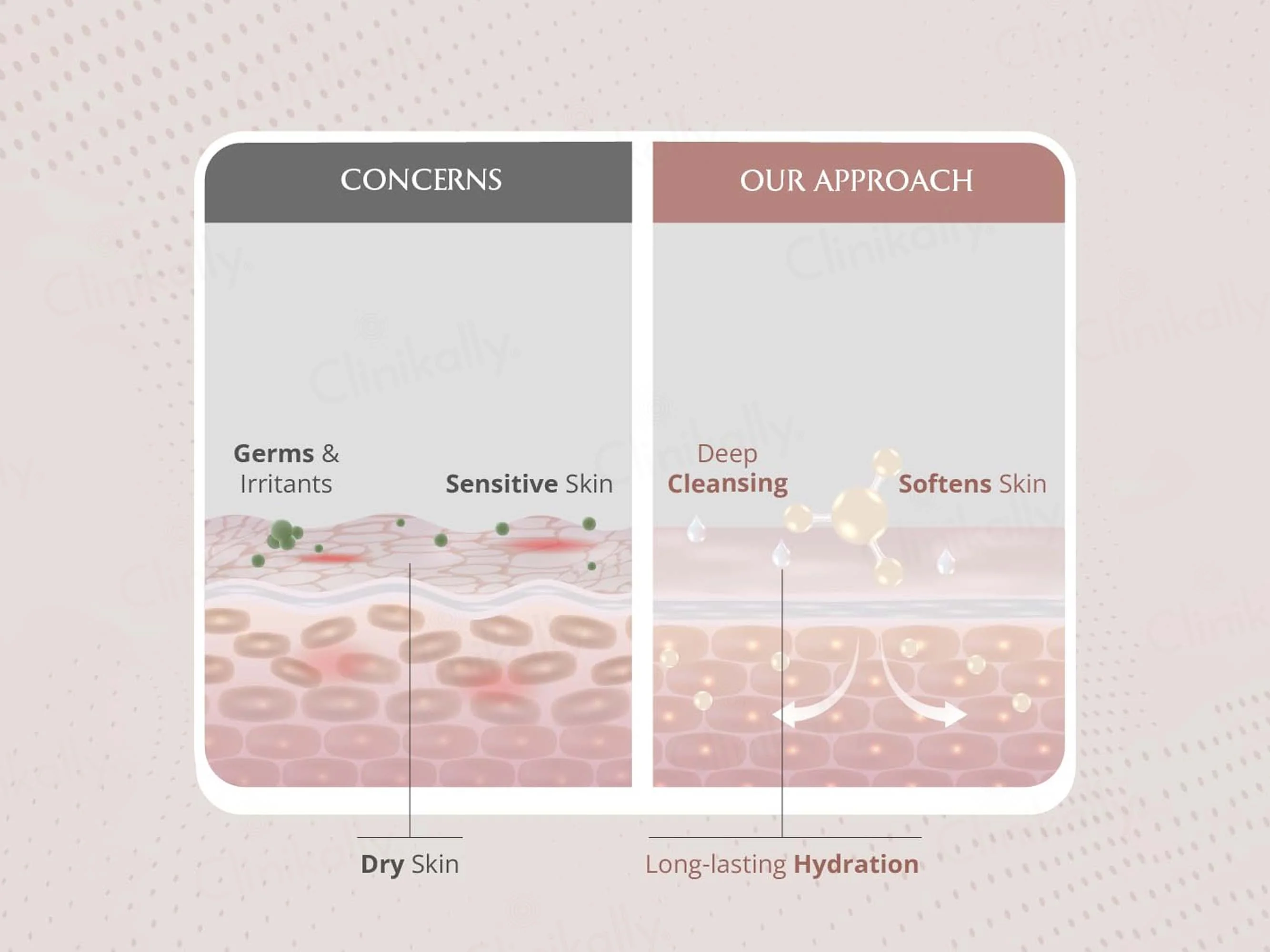 Areoveda Hydrating Body Foam Wash - Image 9