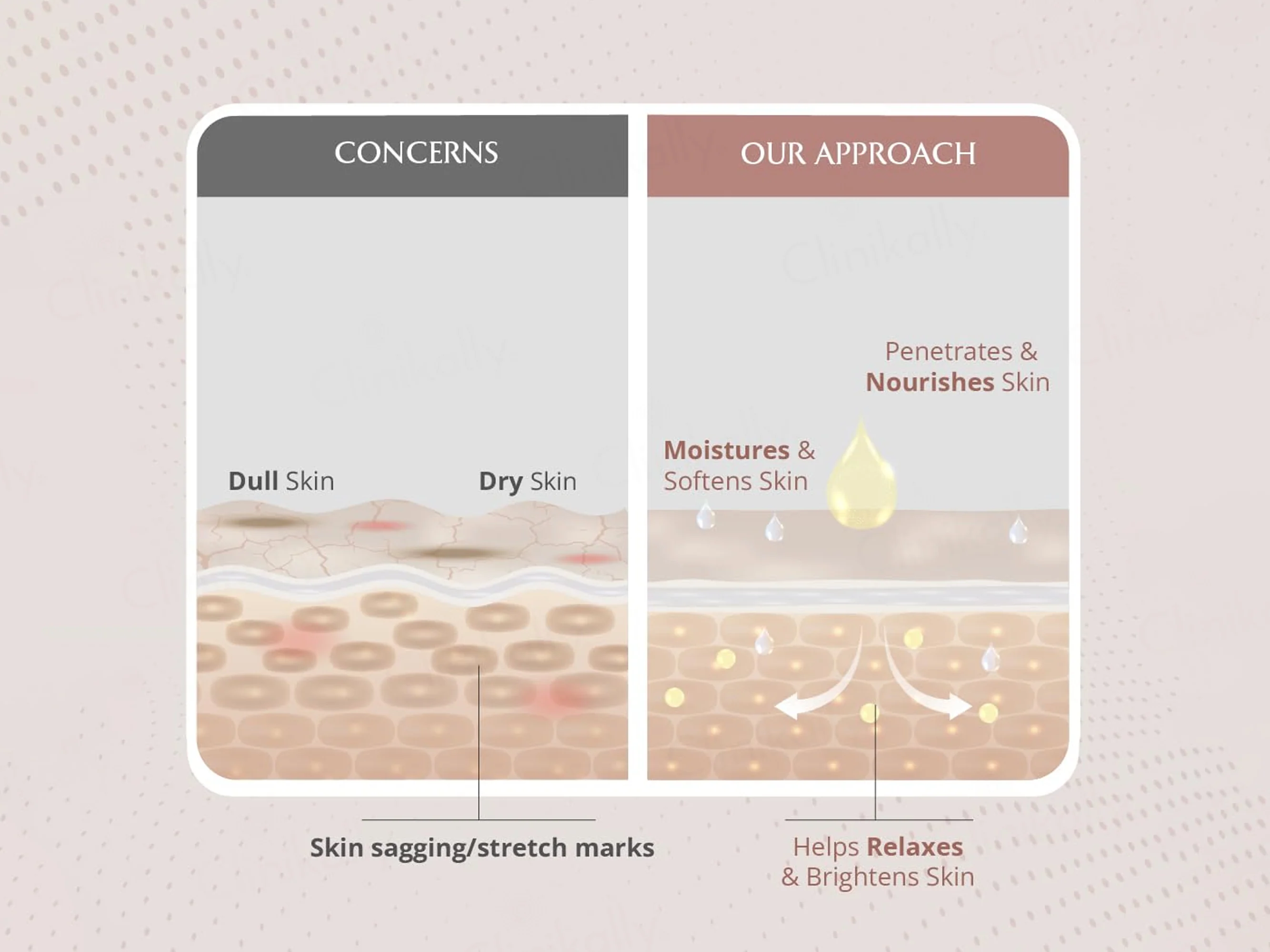 Areoveda Post Natal Massage Oil - Image 9
