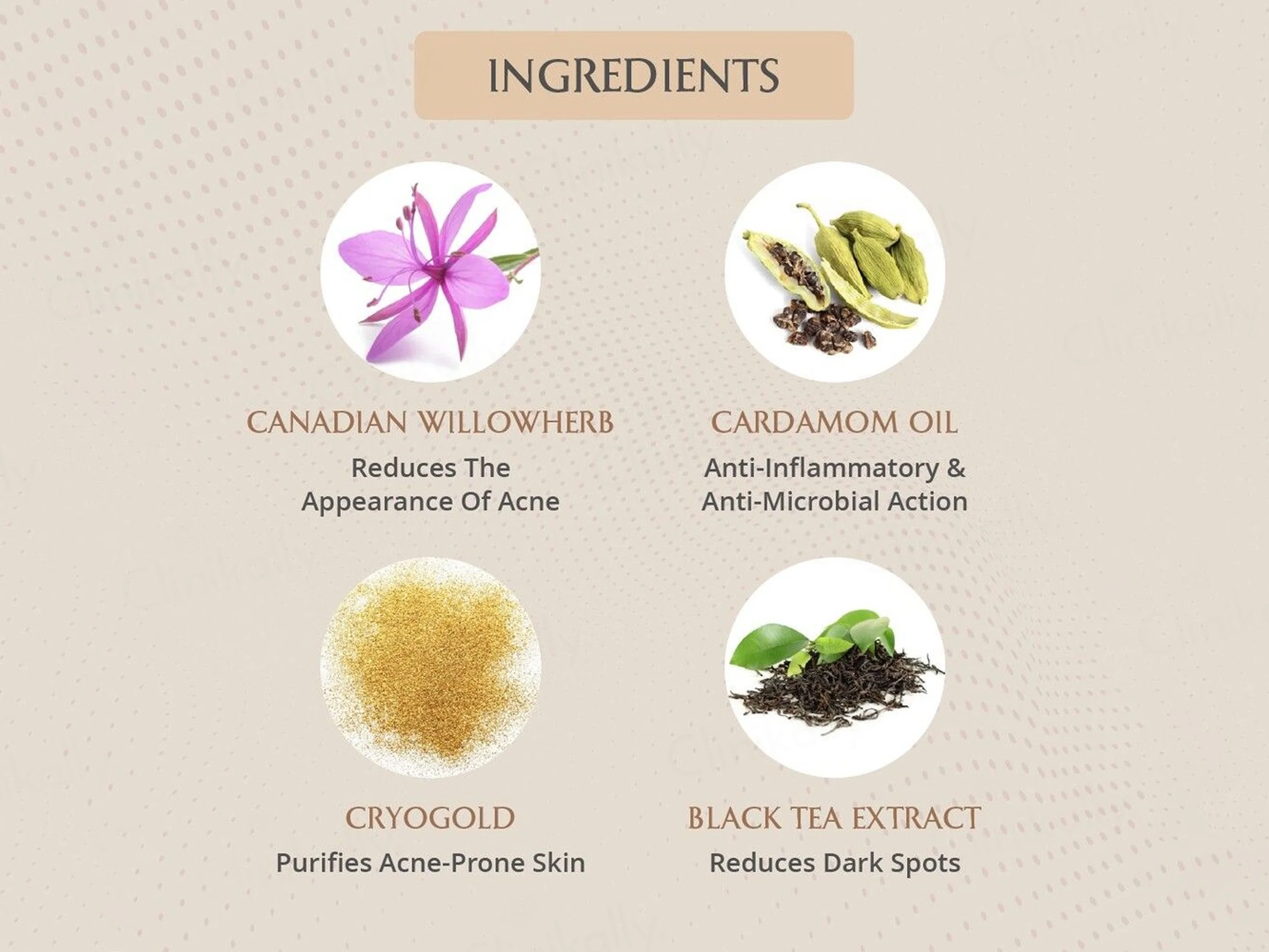 Areoveda Skin Clarifying Serum - Image 4