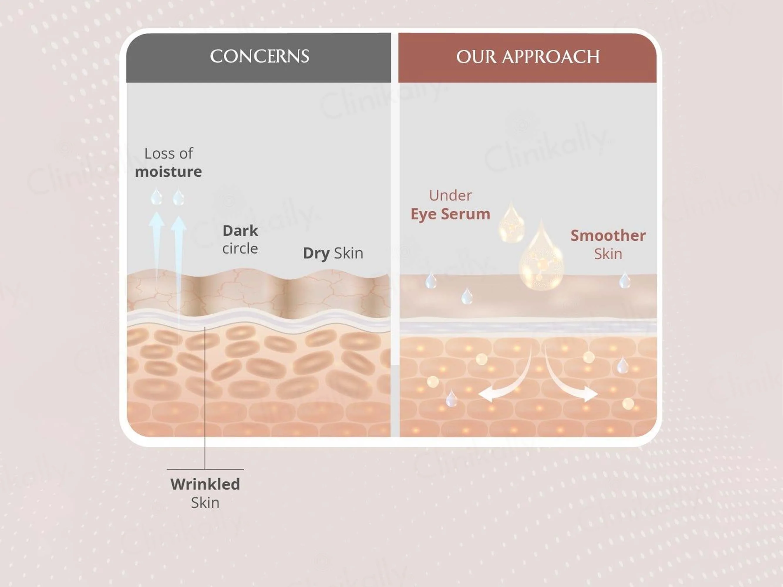 Areoveda Under Eye Serum - Image 7