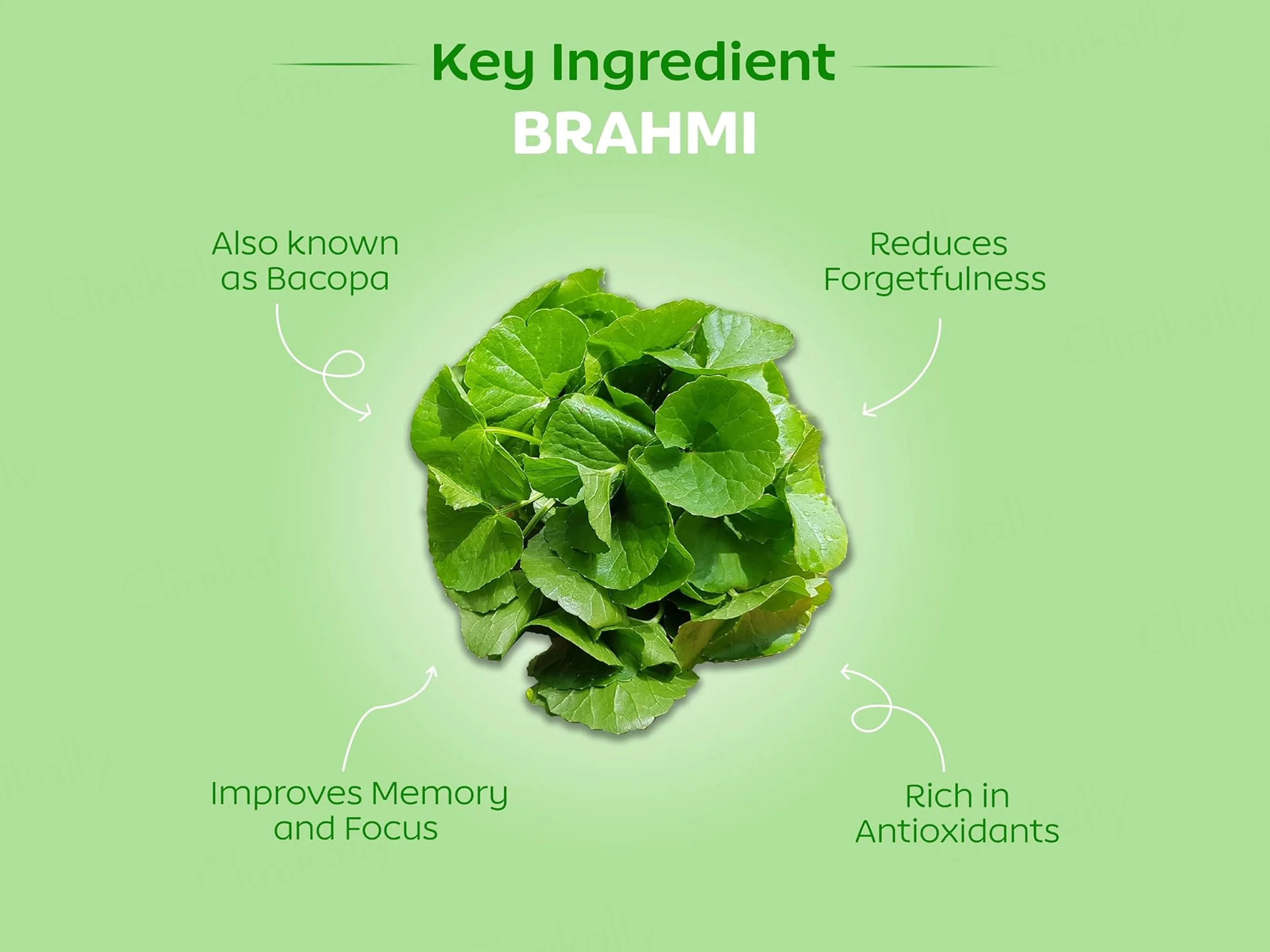 Arth Brain Fog Aid Health Supplement Capsule For Women - Image 2