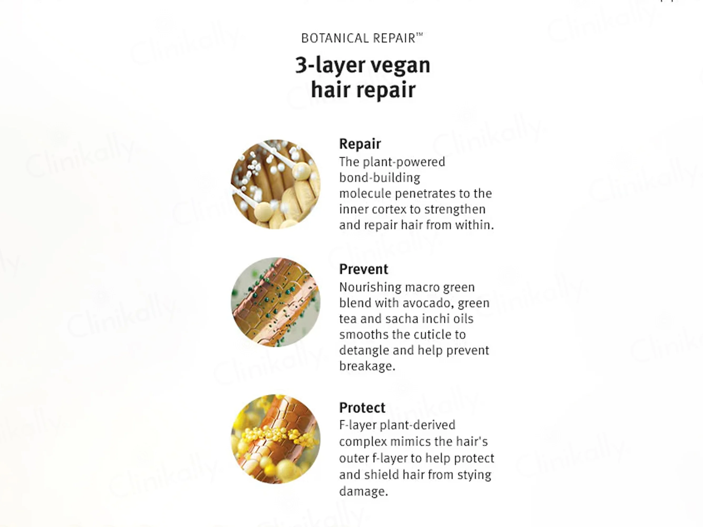 Aveda Botanical Repair Bond-Building Styling Creme - Image 6