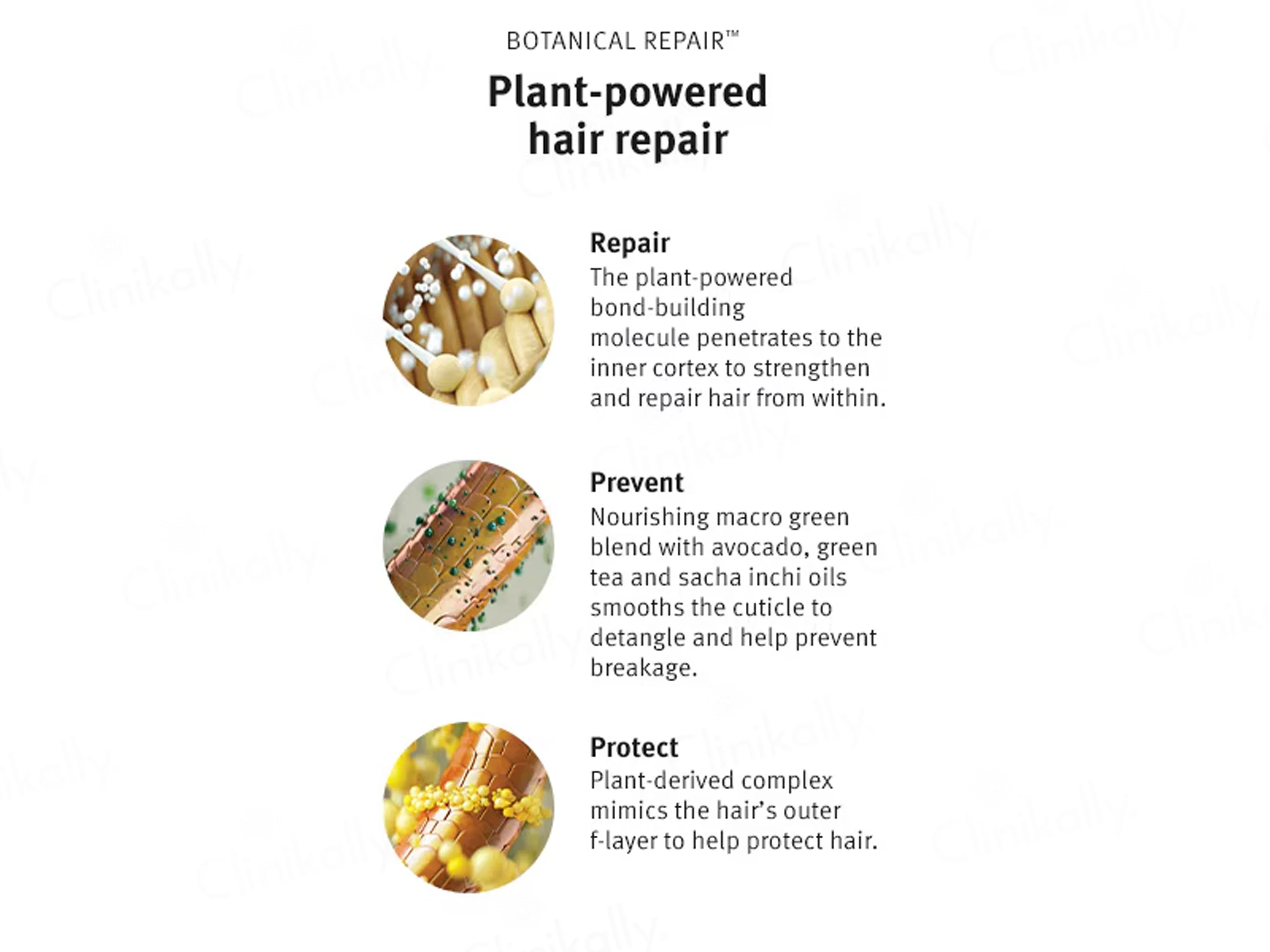 Aveda Botanical Repair Strengthening Shampoo - Image 8