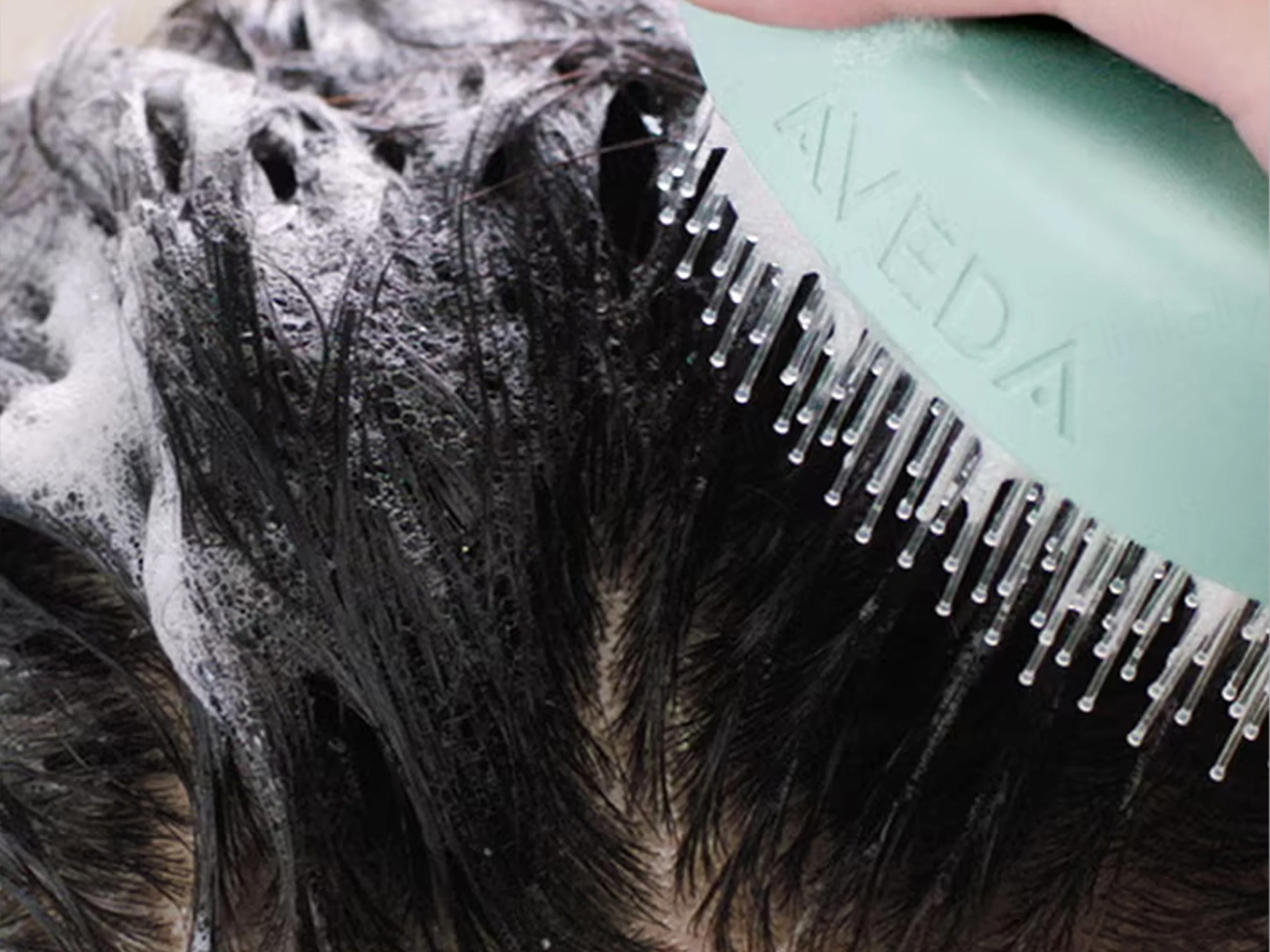 Aveda Scalp Solutions Balancing Shampoo - Image 3