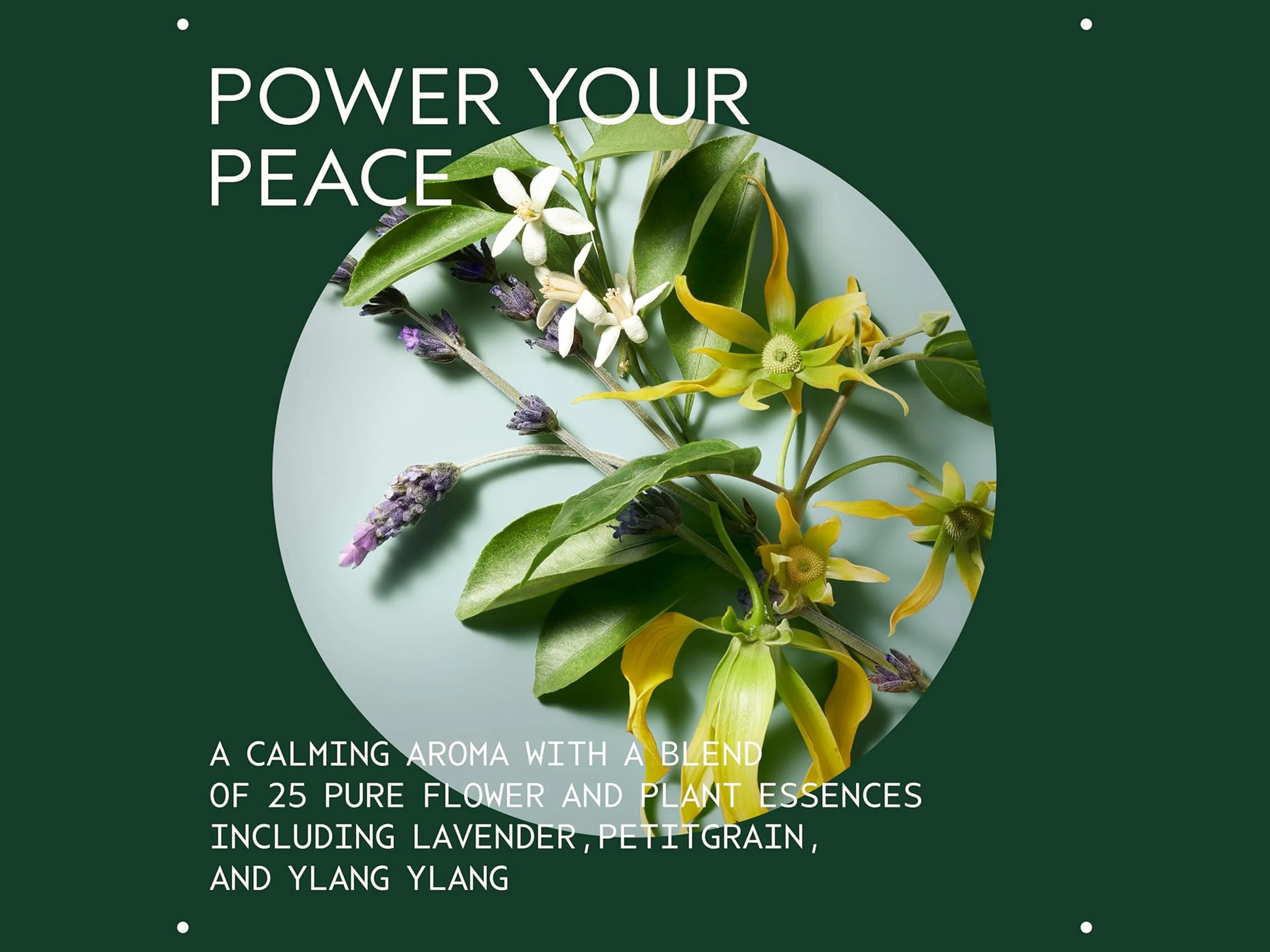 Aveda Shampowder Dry Shampoo - Image 3