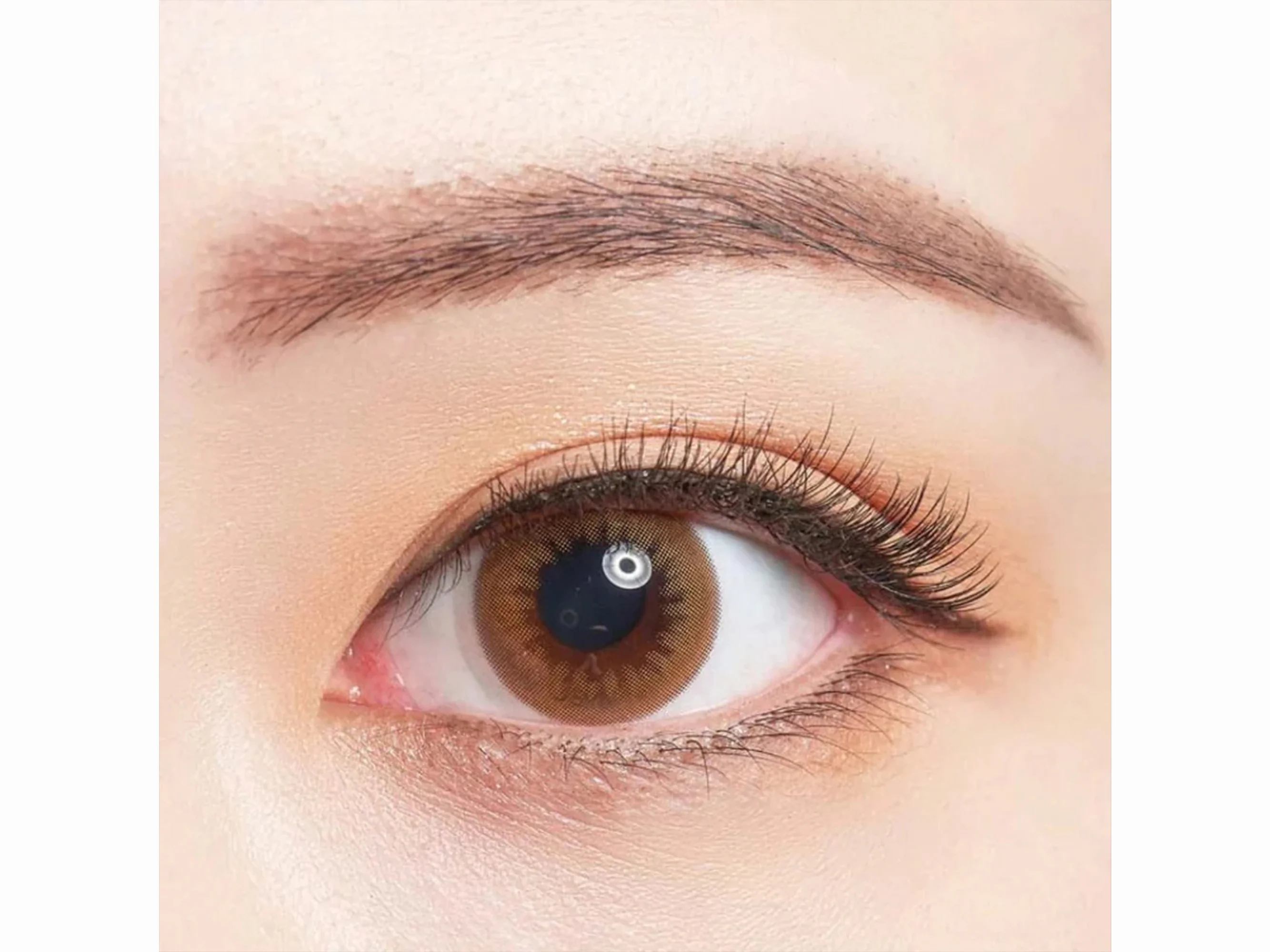 Bausch & Lomb Lacelle Daily Disposable Colored Contact Lens - Mellow Brown - Image 3