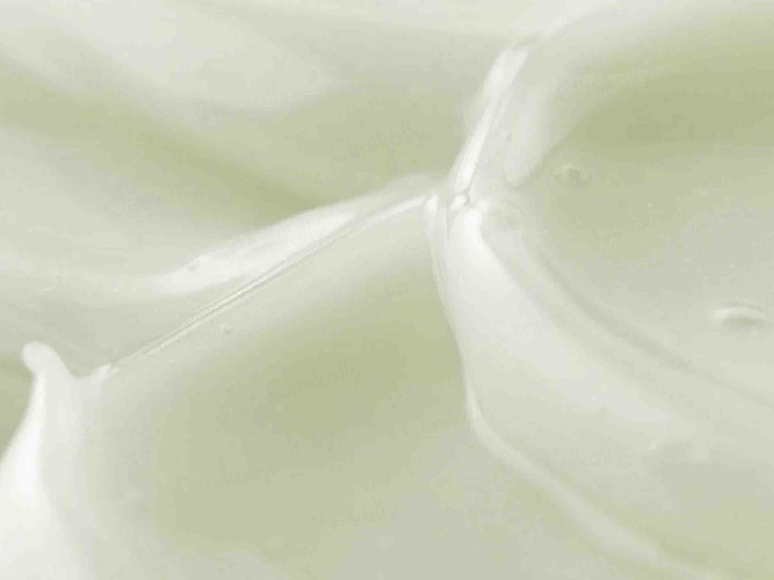 Beauty of Joseon Centella + Vitamin C Light On Serum - Image 3