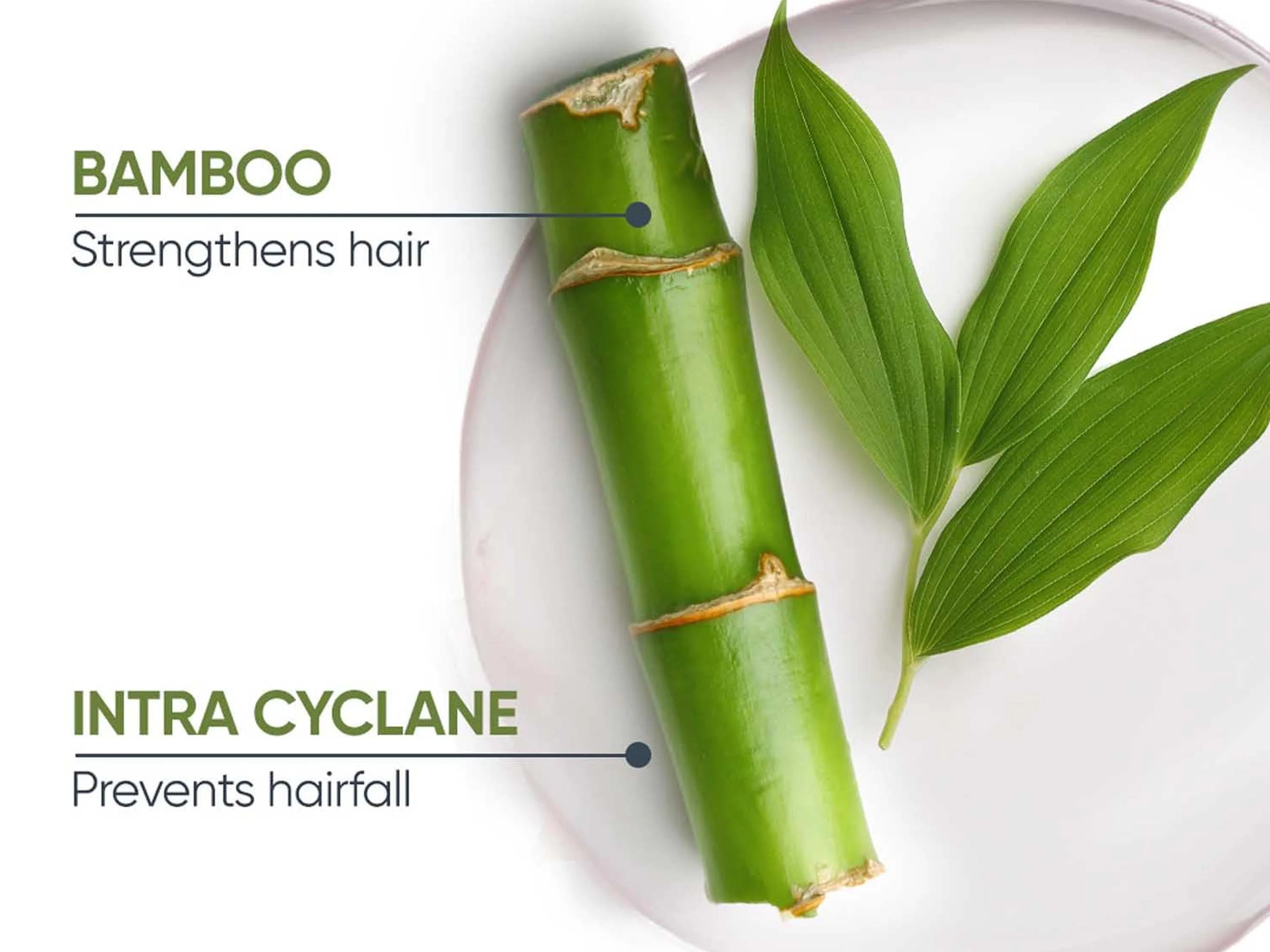 Biolage Advanced Fiberstrong Anti-Breakage Shampoo - Image 2