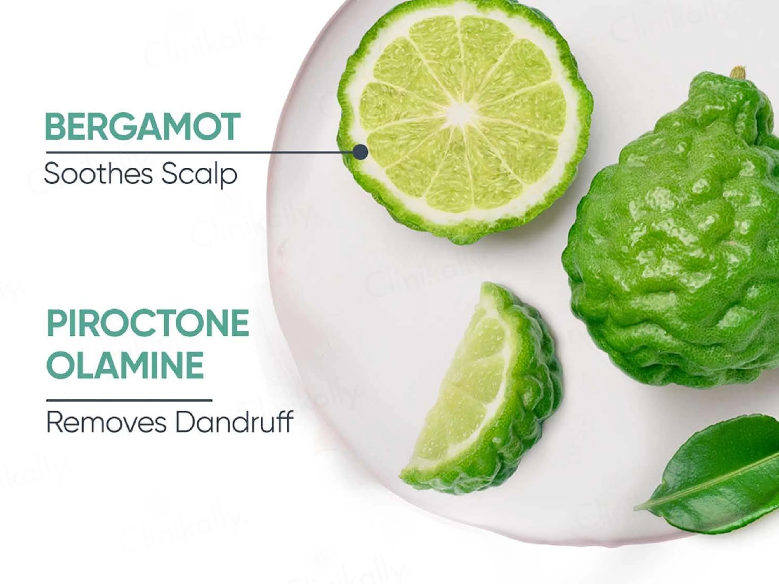 Biolage Advanced Scalppure Anti-Dandruff Shampoo - Image 2