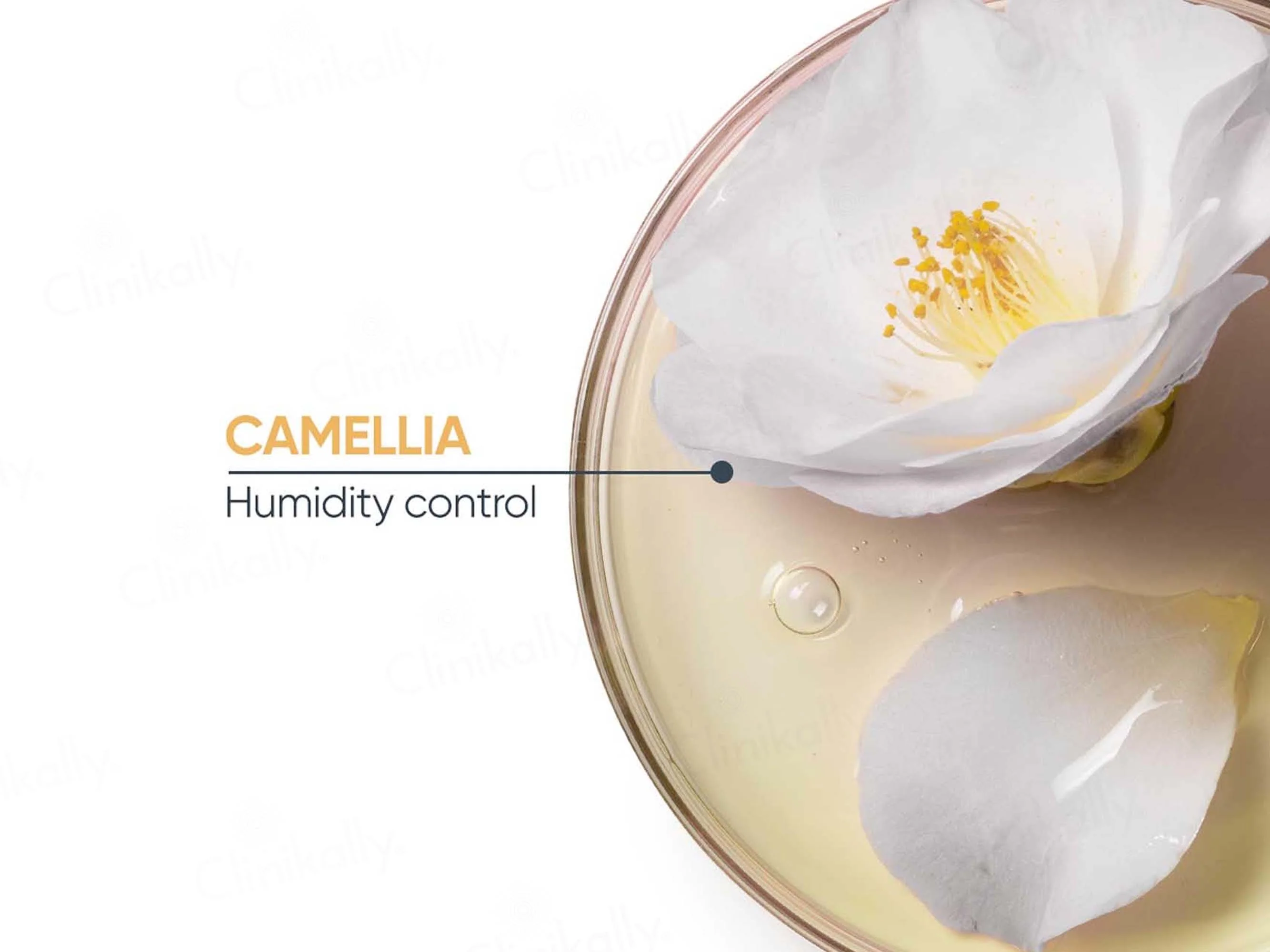 Biolage Professional Smoothproof Camellia Anti-Frizz Shampoo - Image 2