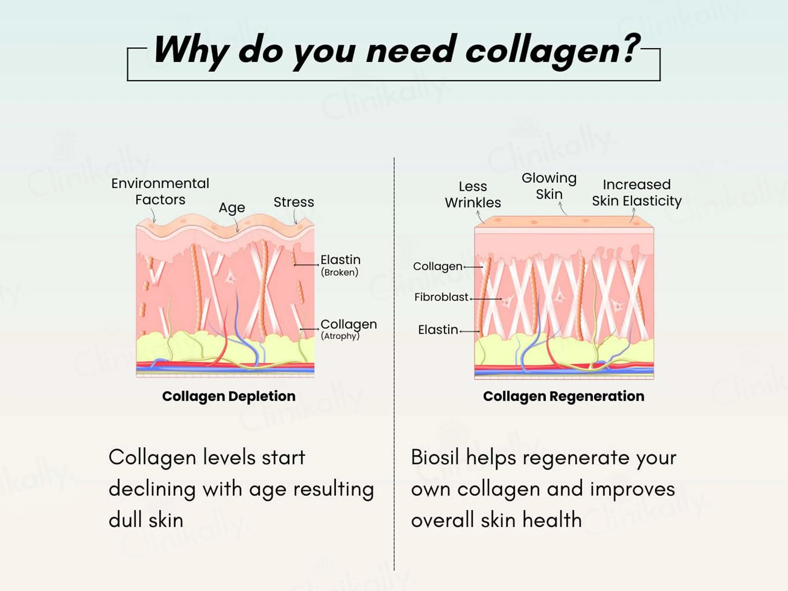 Biosil Collagen Generator Health Supplement Capsule - Image 5