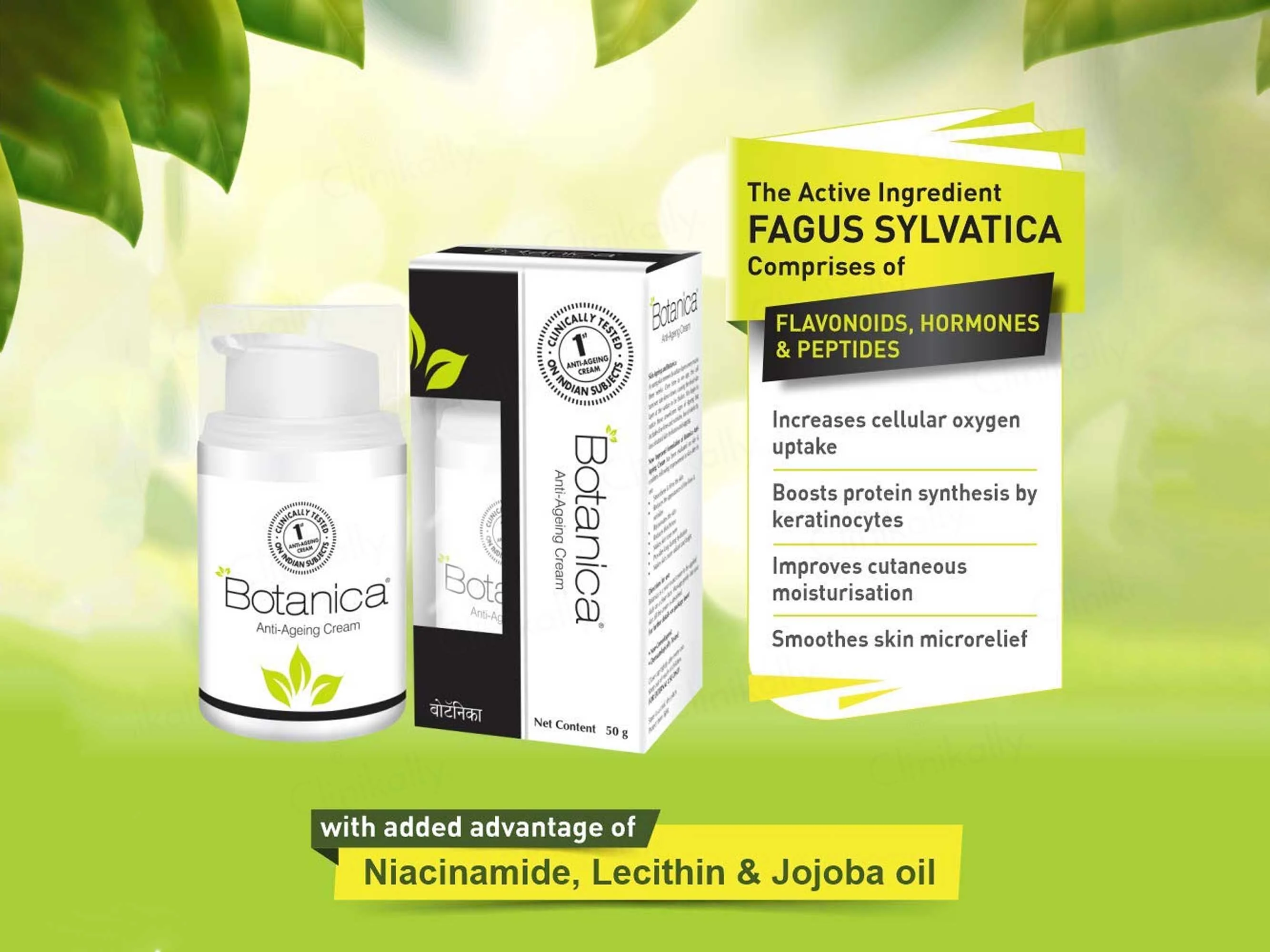 Botanica Anti-Ageing Cream - Image 3