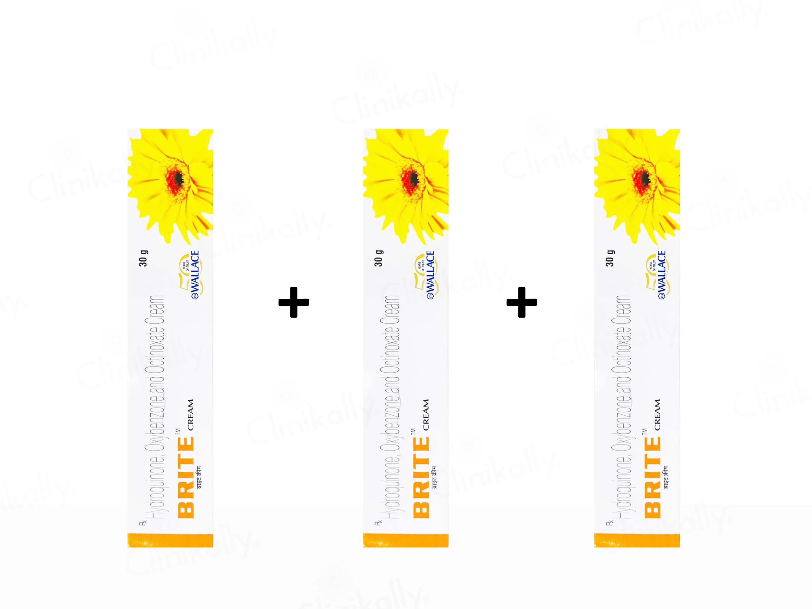 Brite Cream - Image 4