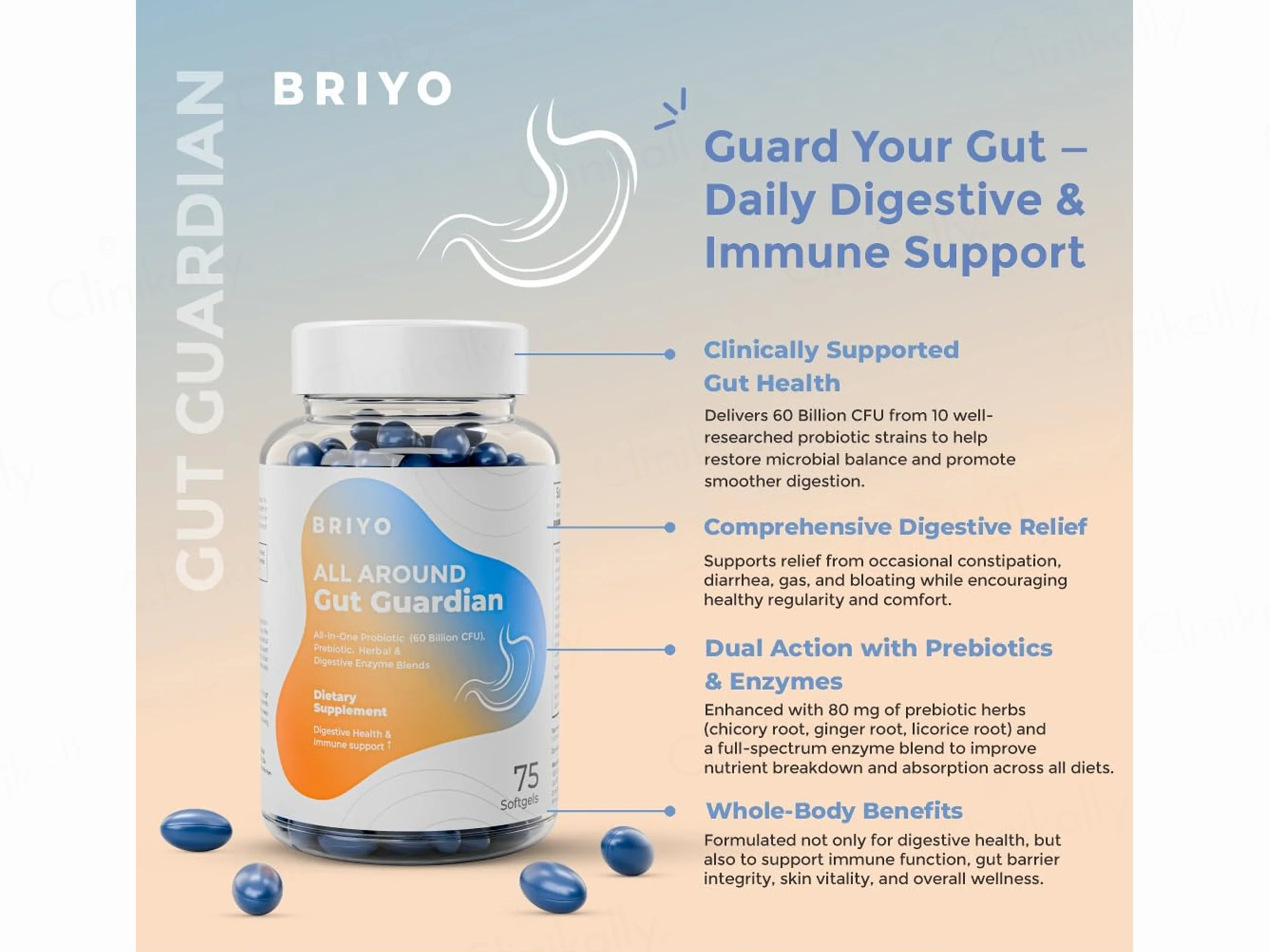 Briyo All Around Gut Guardian 60 Billion CFU Dietary Supplement Capsule - Image 7