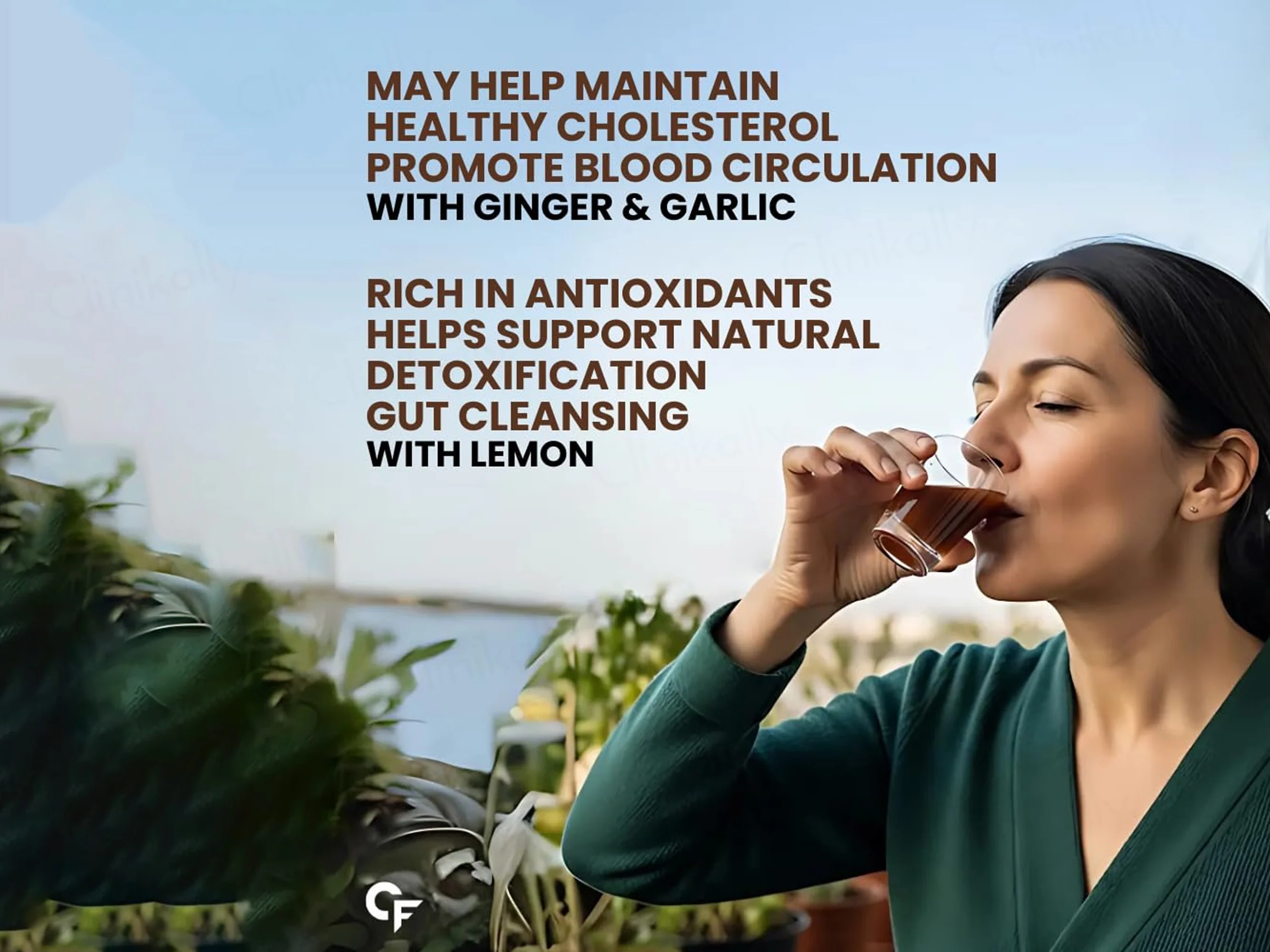 Carbamide Forte Cholesterol Care Sugar Free Juice For Healthy Cholesterol Levels - Image 5