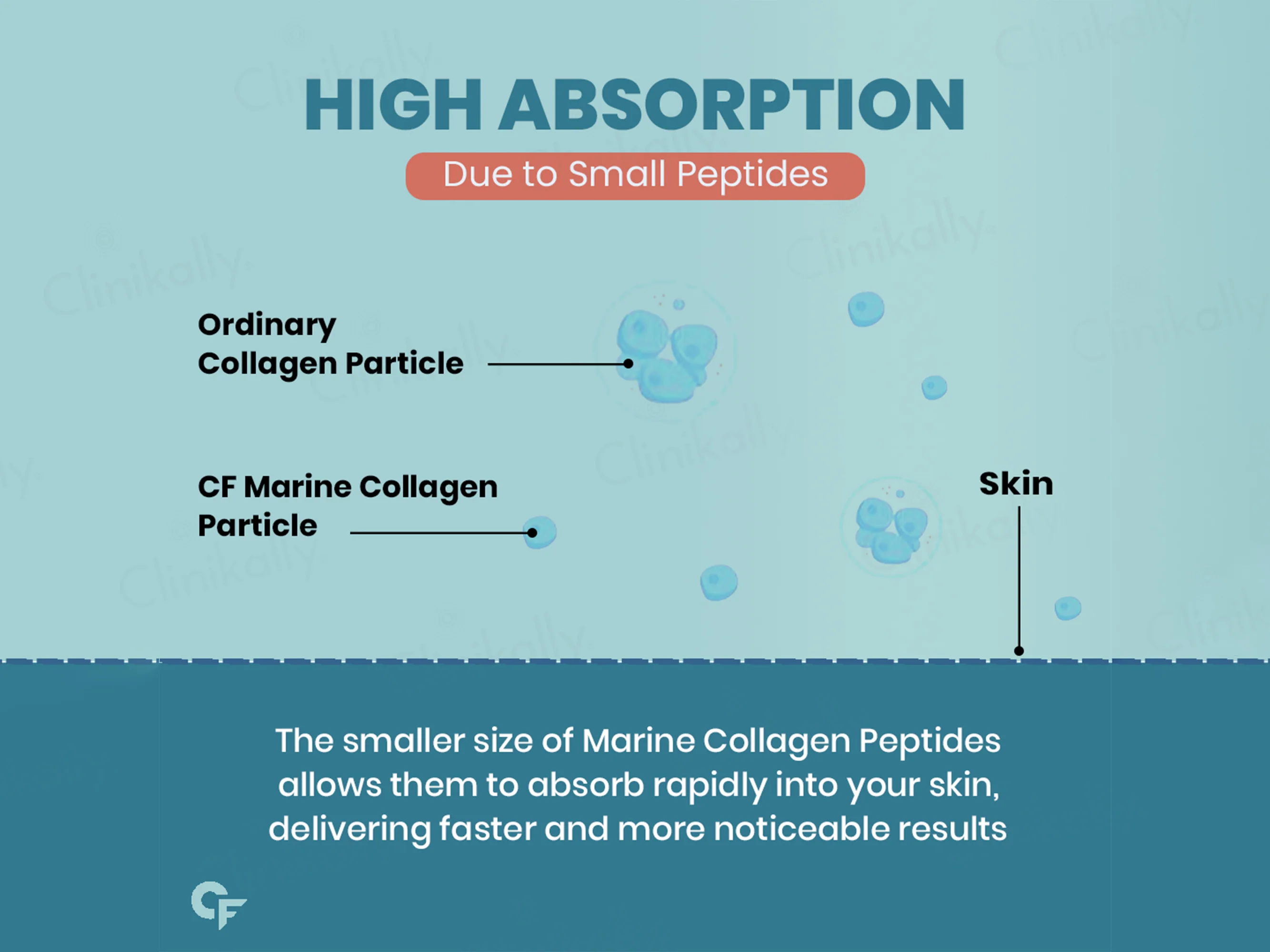 Carbamide Forte Marine Collagen Powder Supplement - Citrus Burst Orange Flavour - Image 6