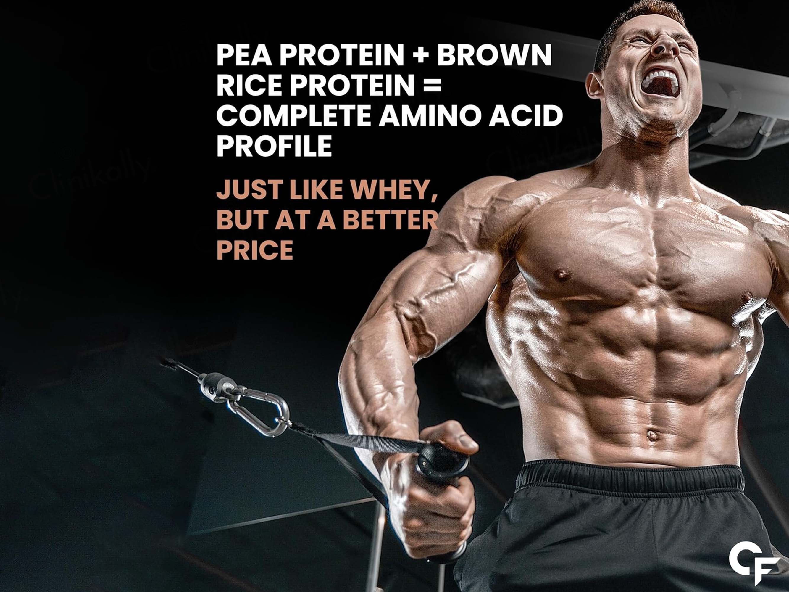Carbamide Forte Plant Protein + Nutraceutical Sachet - Image 7