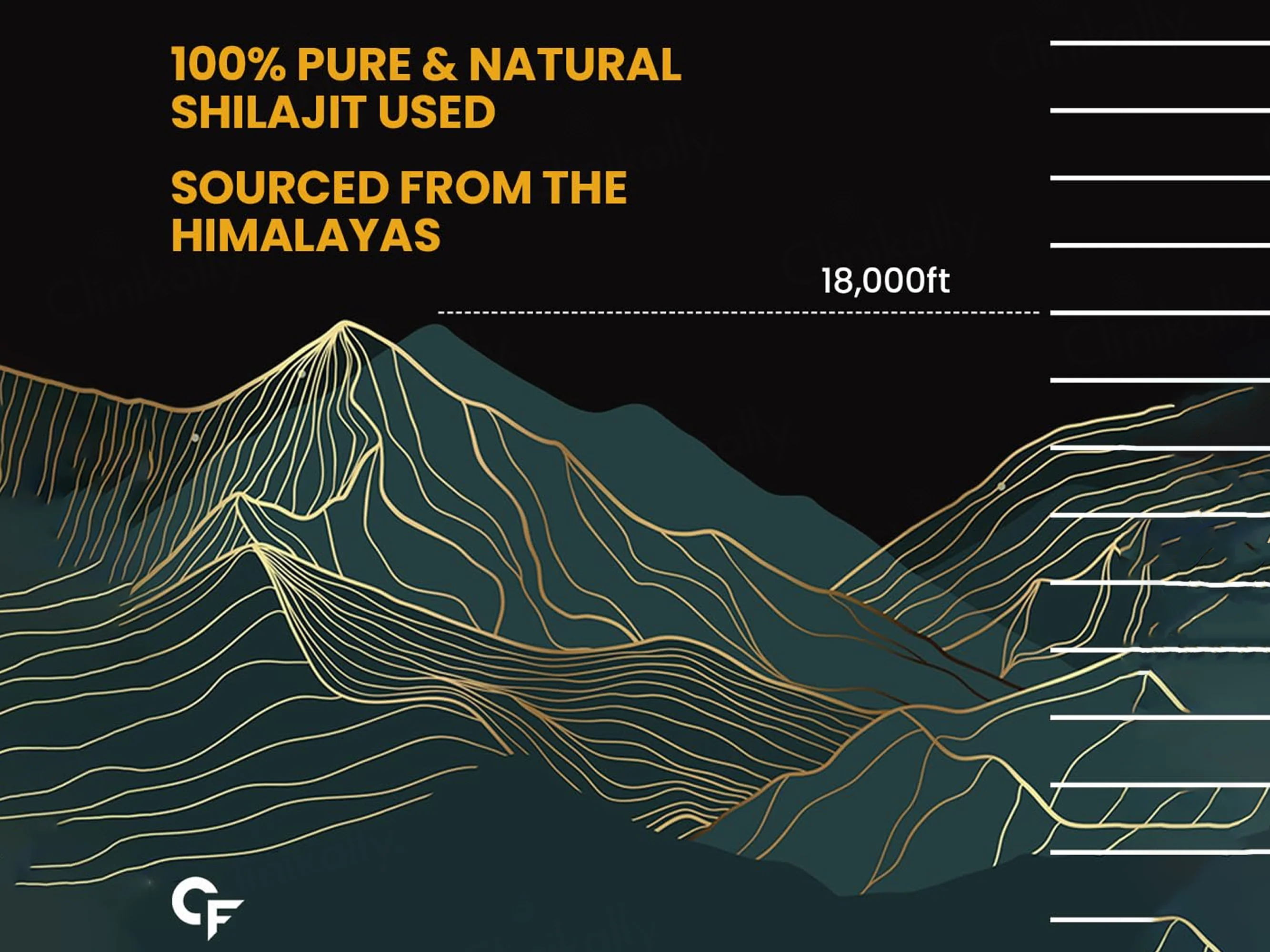 Carbamide Forte Shilajit Gold Himalayan Origin Resin - Image 6