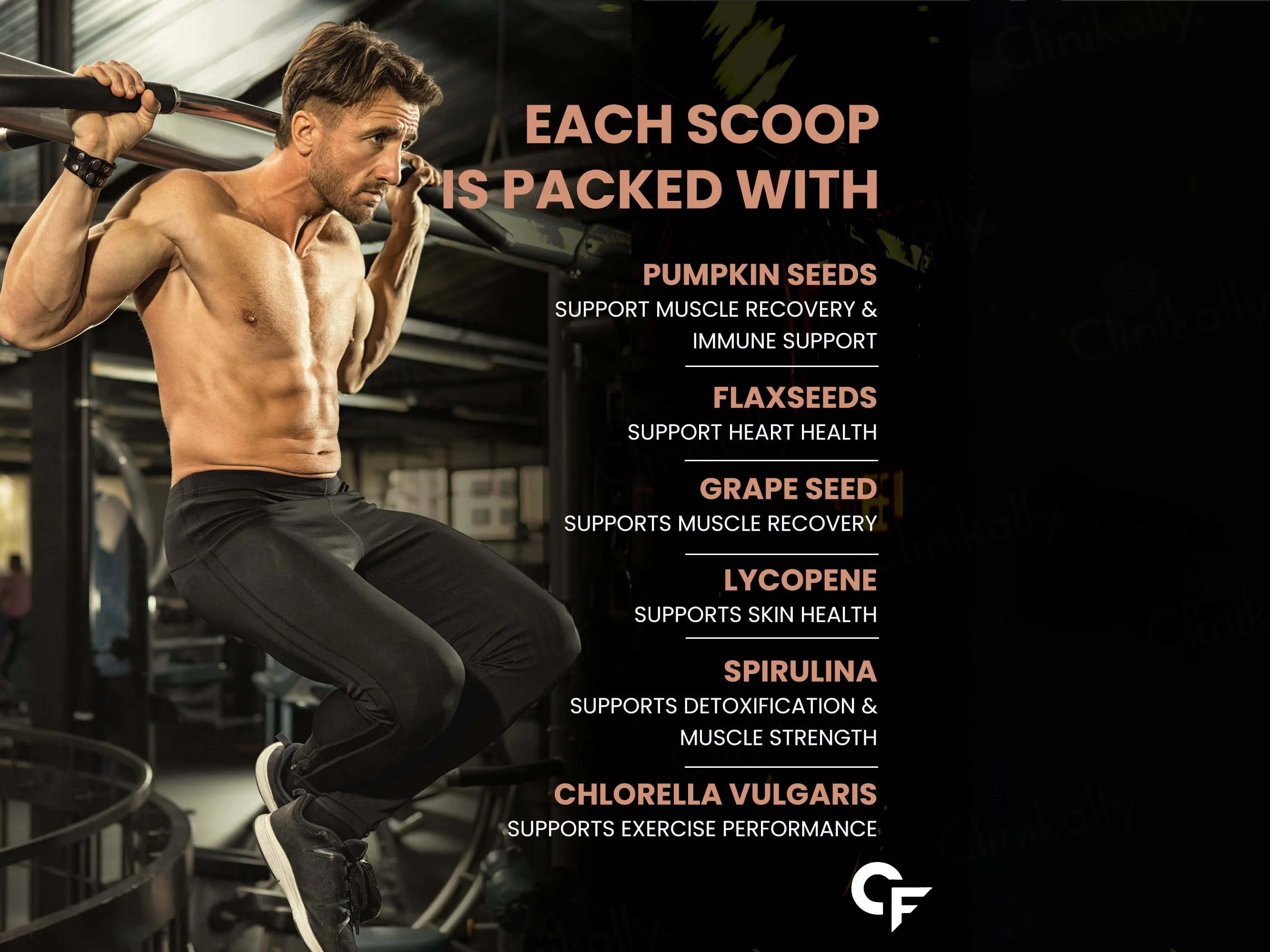 Carbamide Forte Vegan Protein Plus Powder - Belgian Chocolate Flavour - Image 6