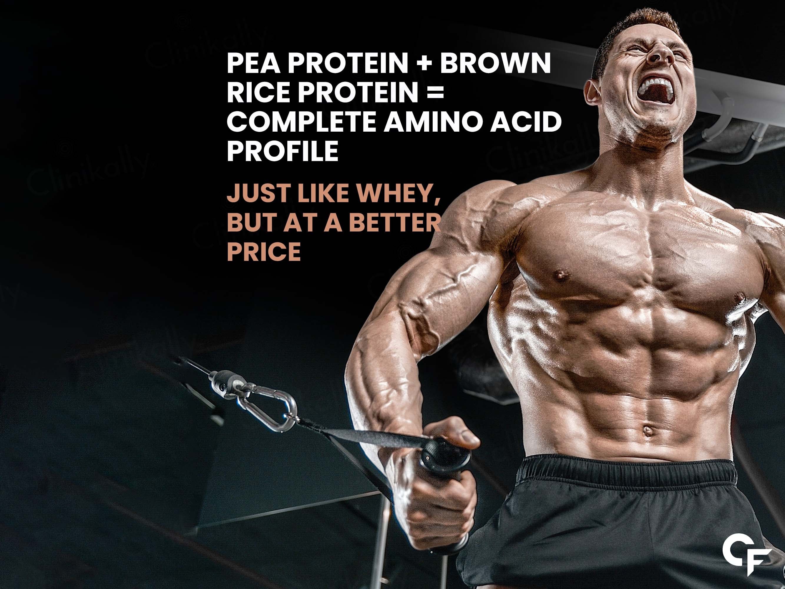 Carbamide Forte Vegan Protein Plus Powder - Belgian Chocolate Flavour - Image 7