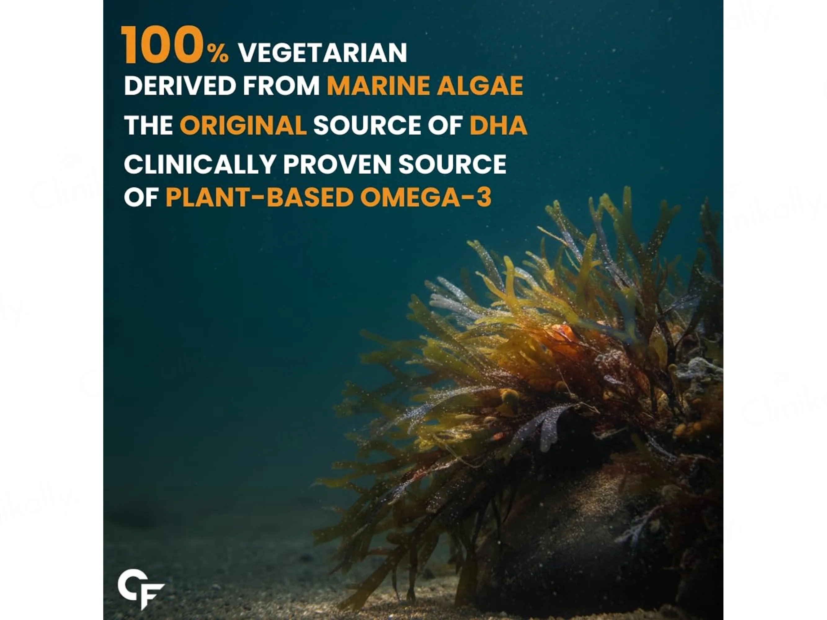 Carbamide Forte Vegetarian Omega-3 2000mg With Algal DHA 20% Liquid Filled Capsule - Image 5