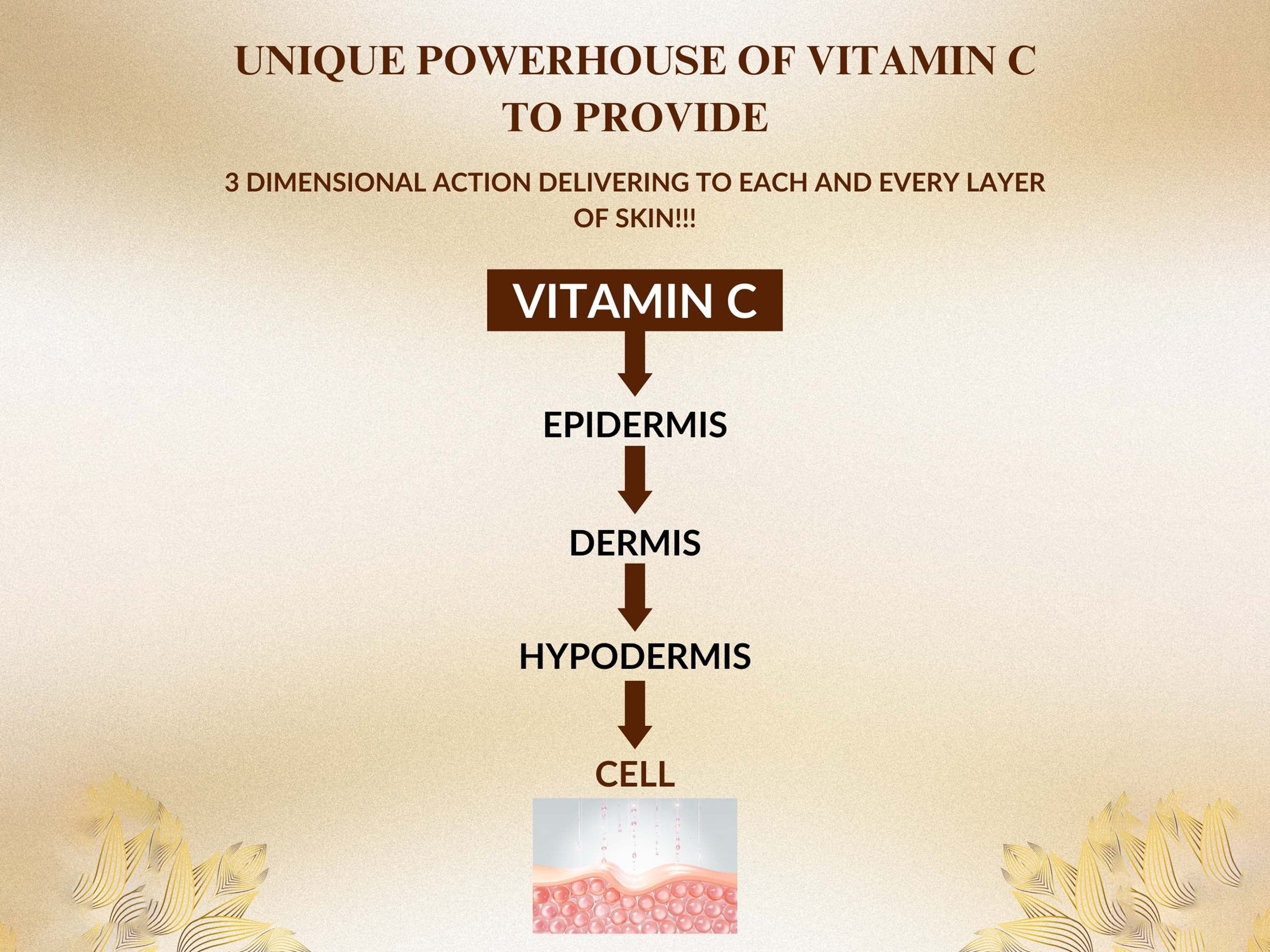 Ceroc C3 Face Serum - Image 6