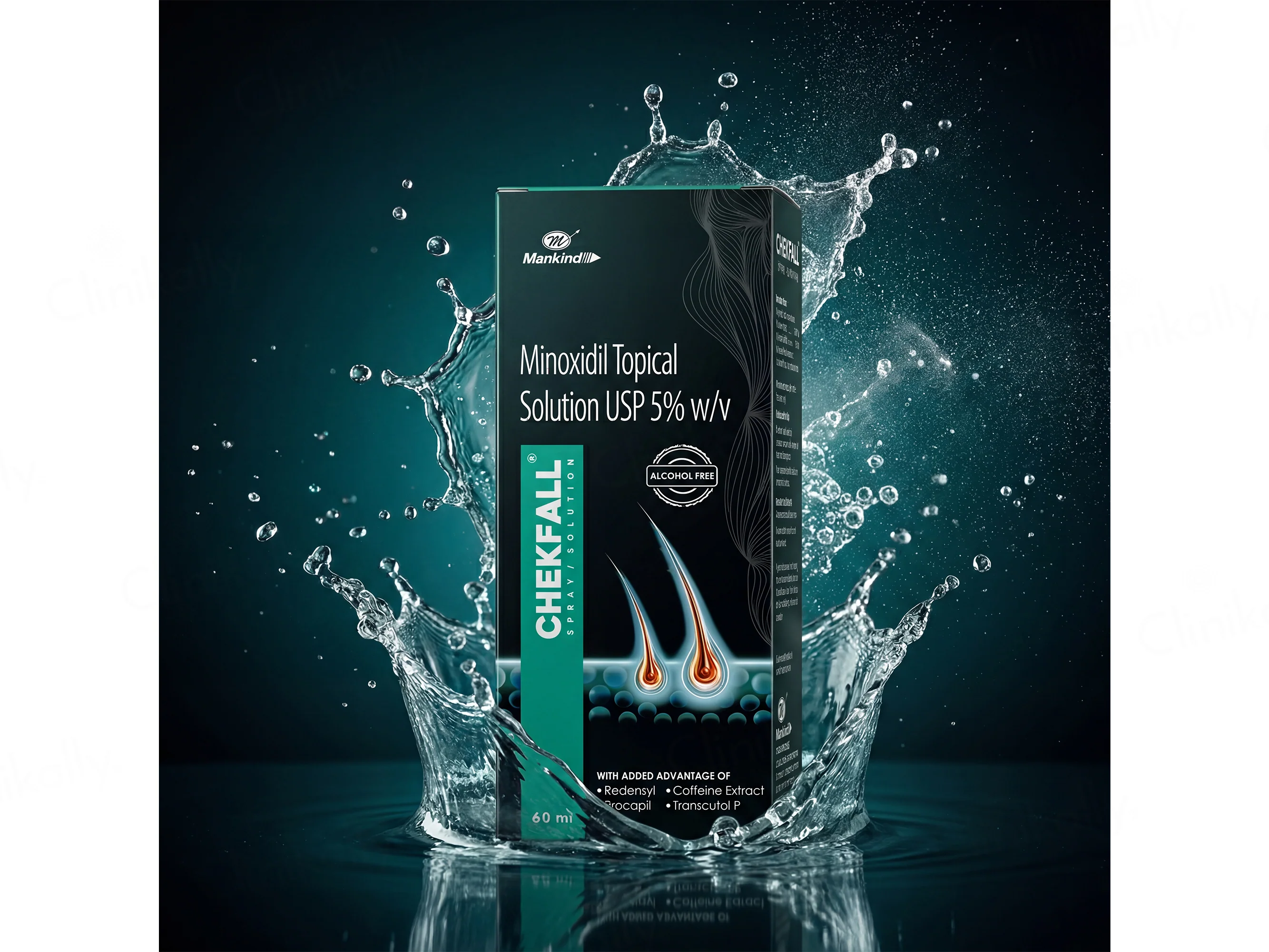 Chekfall 5 Solution - Image 4