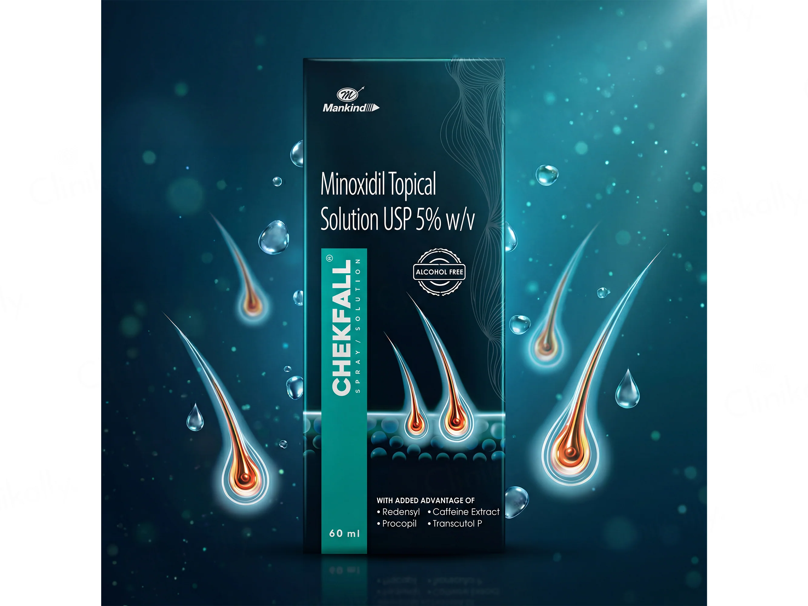 Chekfall 5 Solution - Image 5