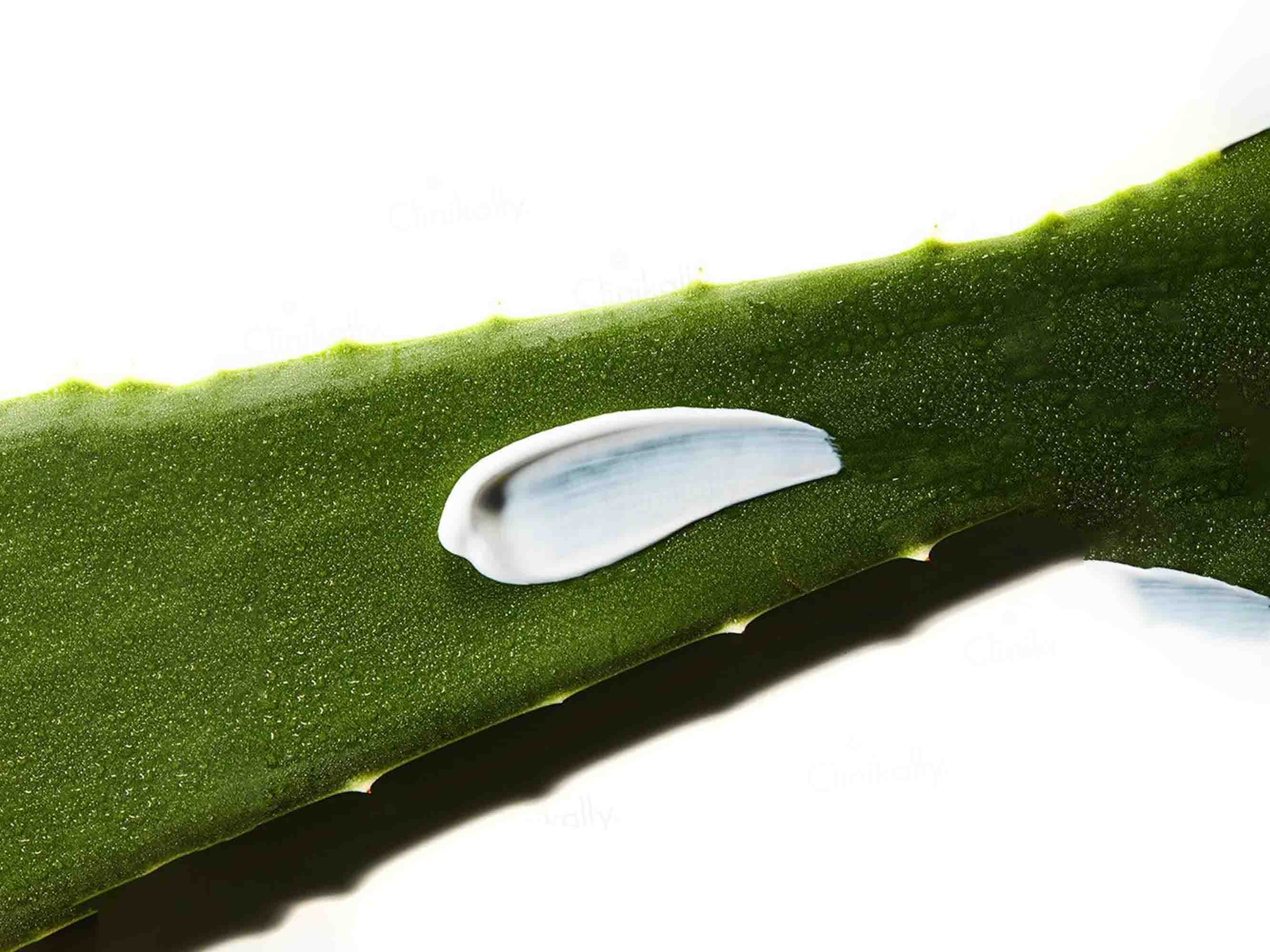 COSRX Aloe Soothing Sun Cream SPF 50+ PA+++ - Image 6