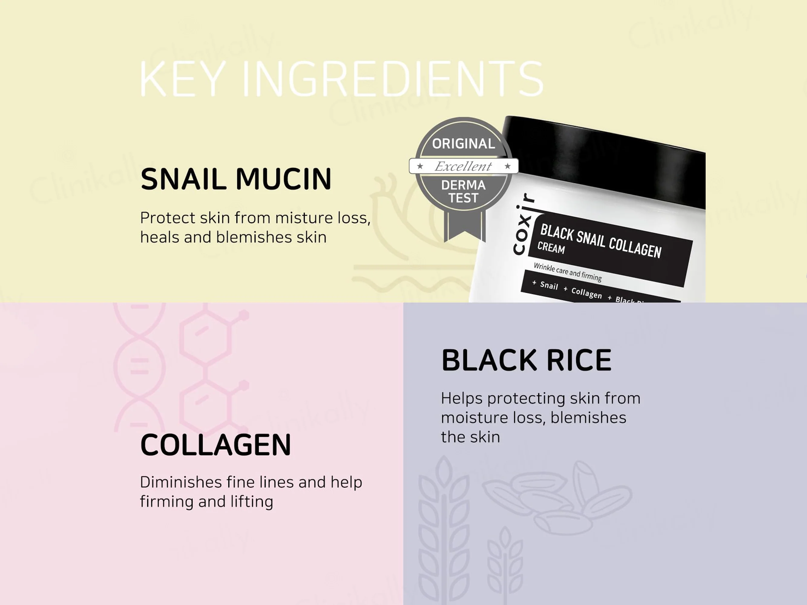 COXIR Black Snail Collagen Cream - Image 2