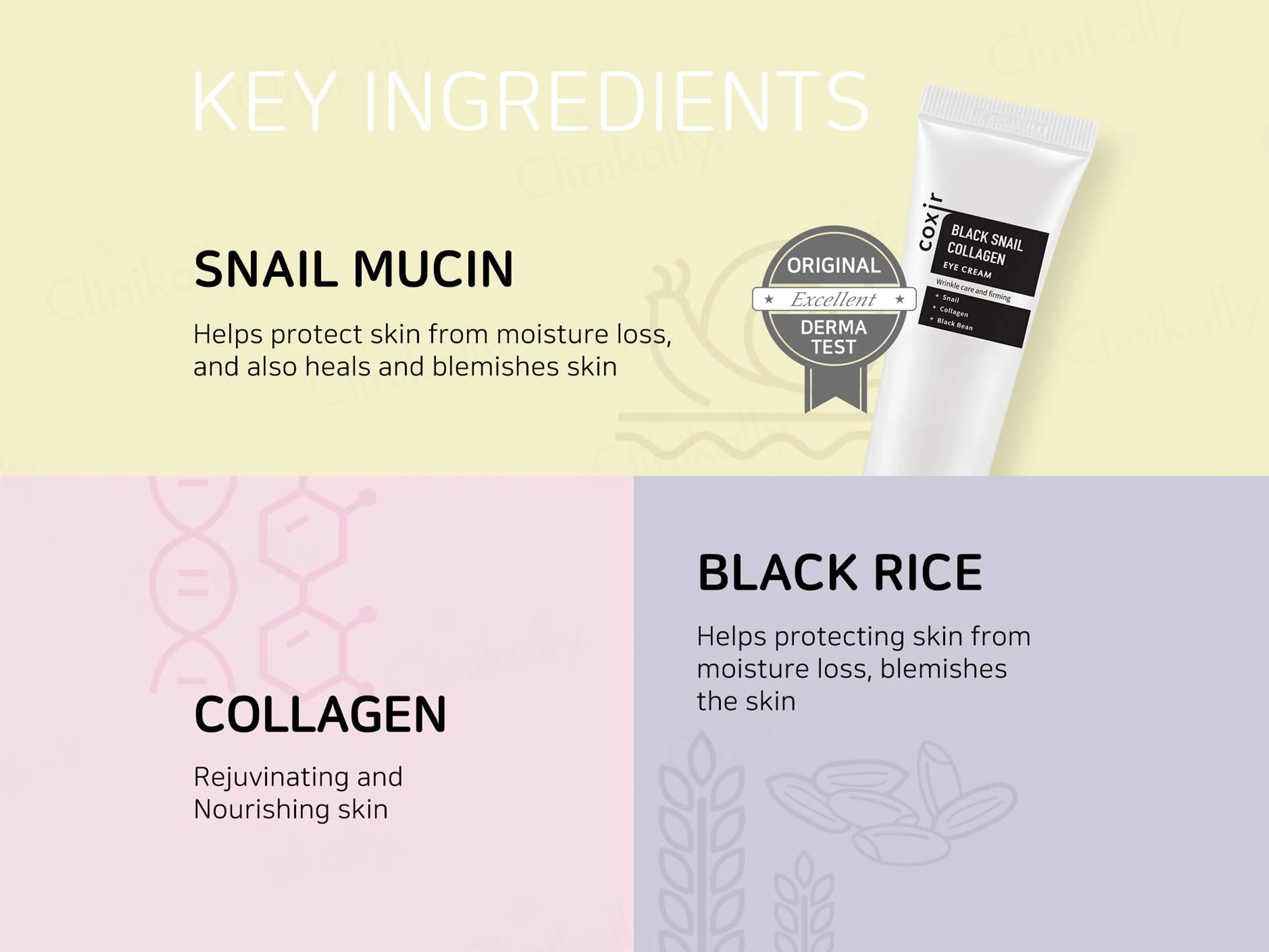 COXIR Black Snail Collagen Eye Cream - Image 2