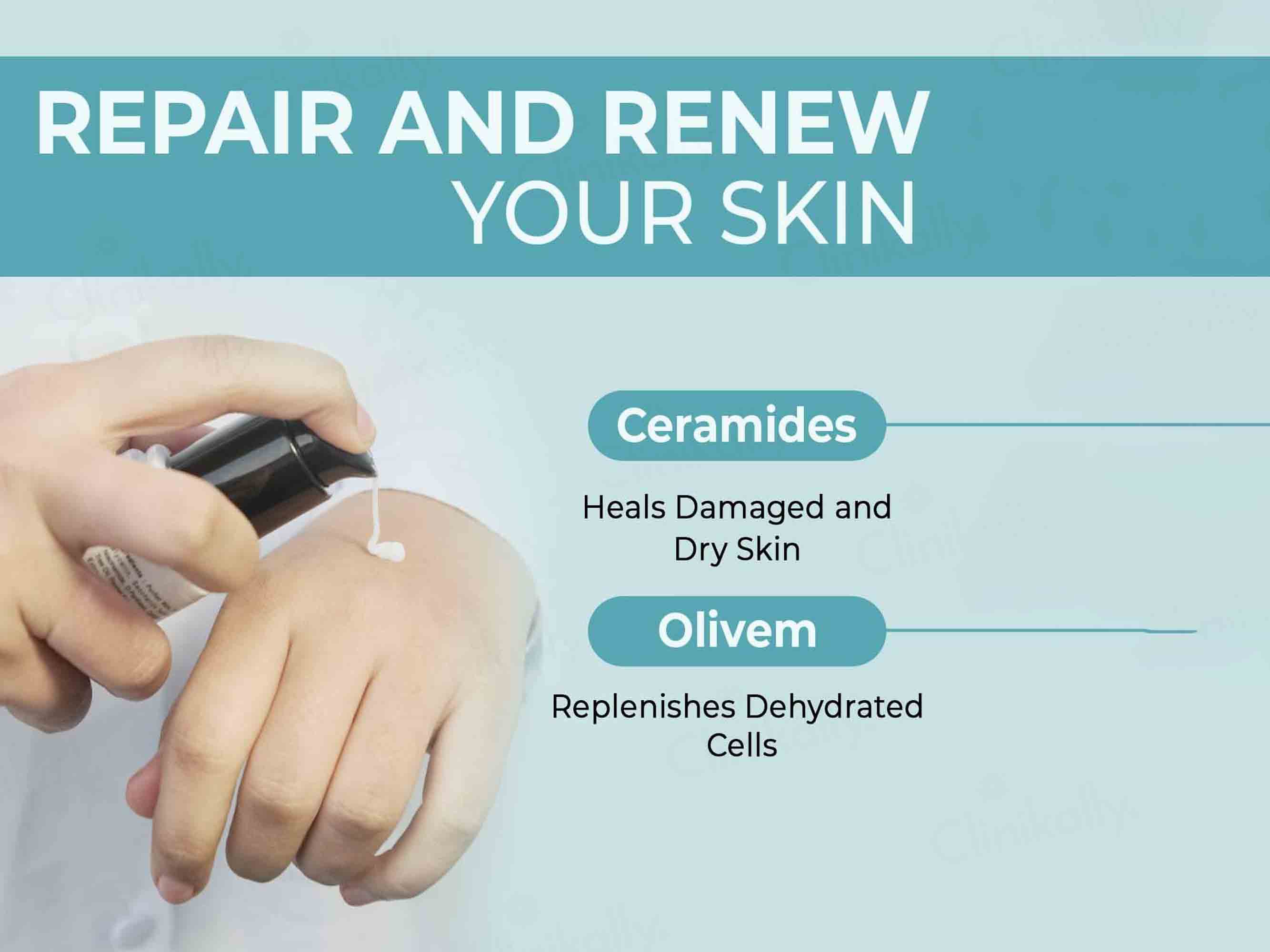 Dermabay Niacinamide & Ceramides Hydrating Moisturizer - Image 7