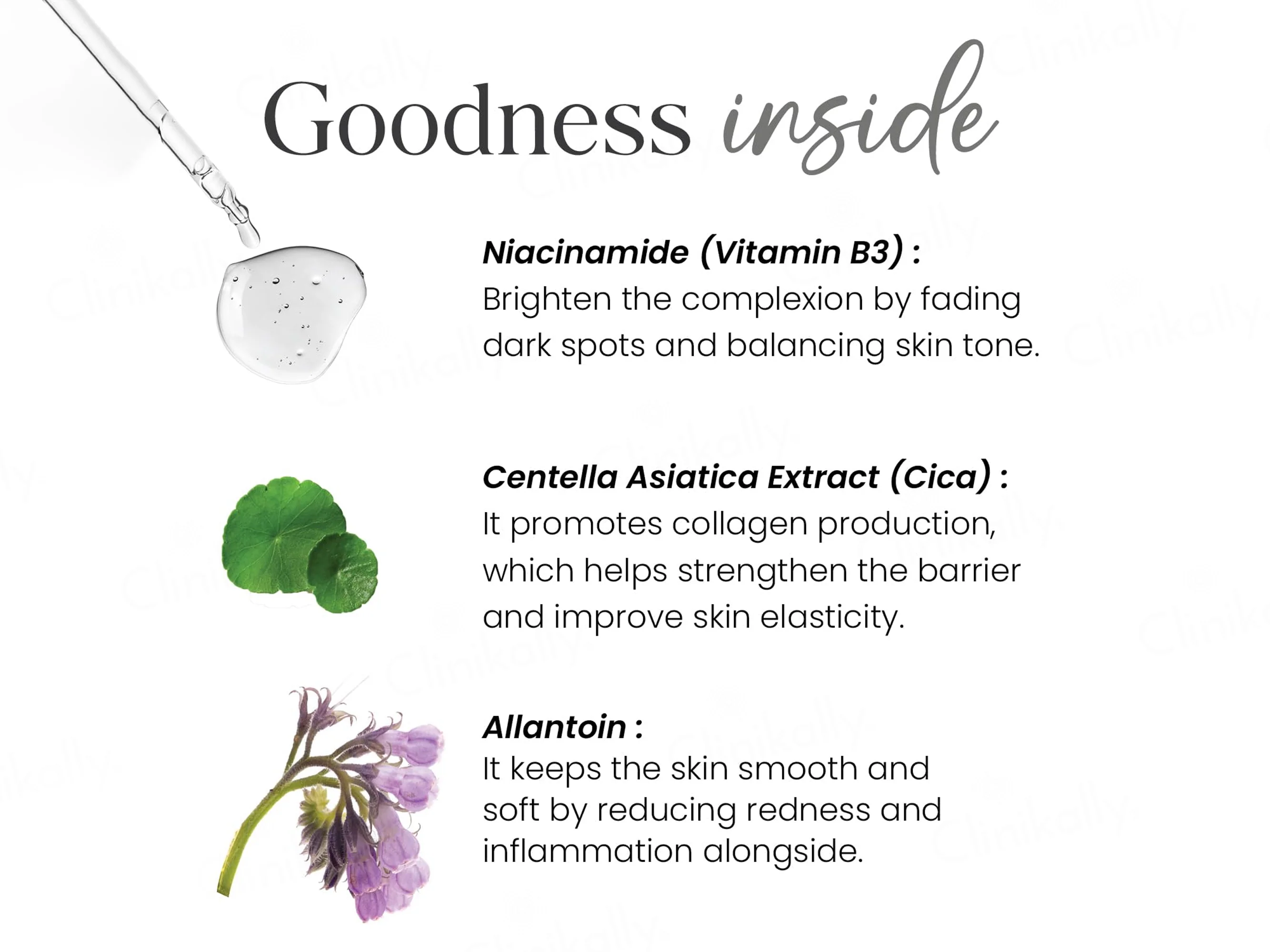 Dermina 10% Niacinamide Face Serum - Image 5
