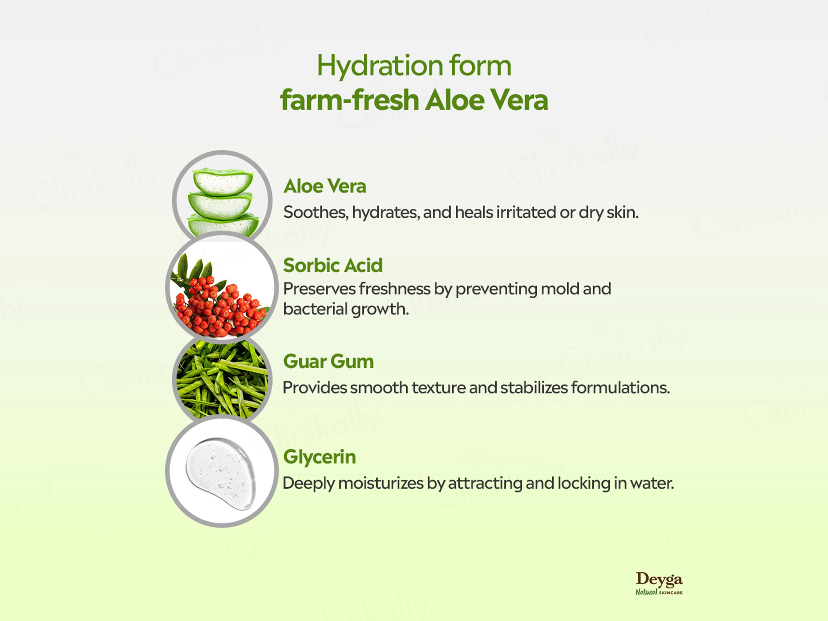 Deyga Aloe Vera Gel - Image 3