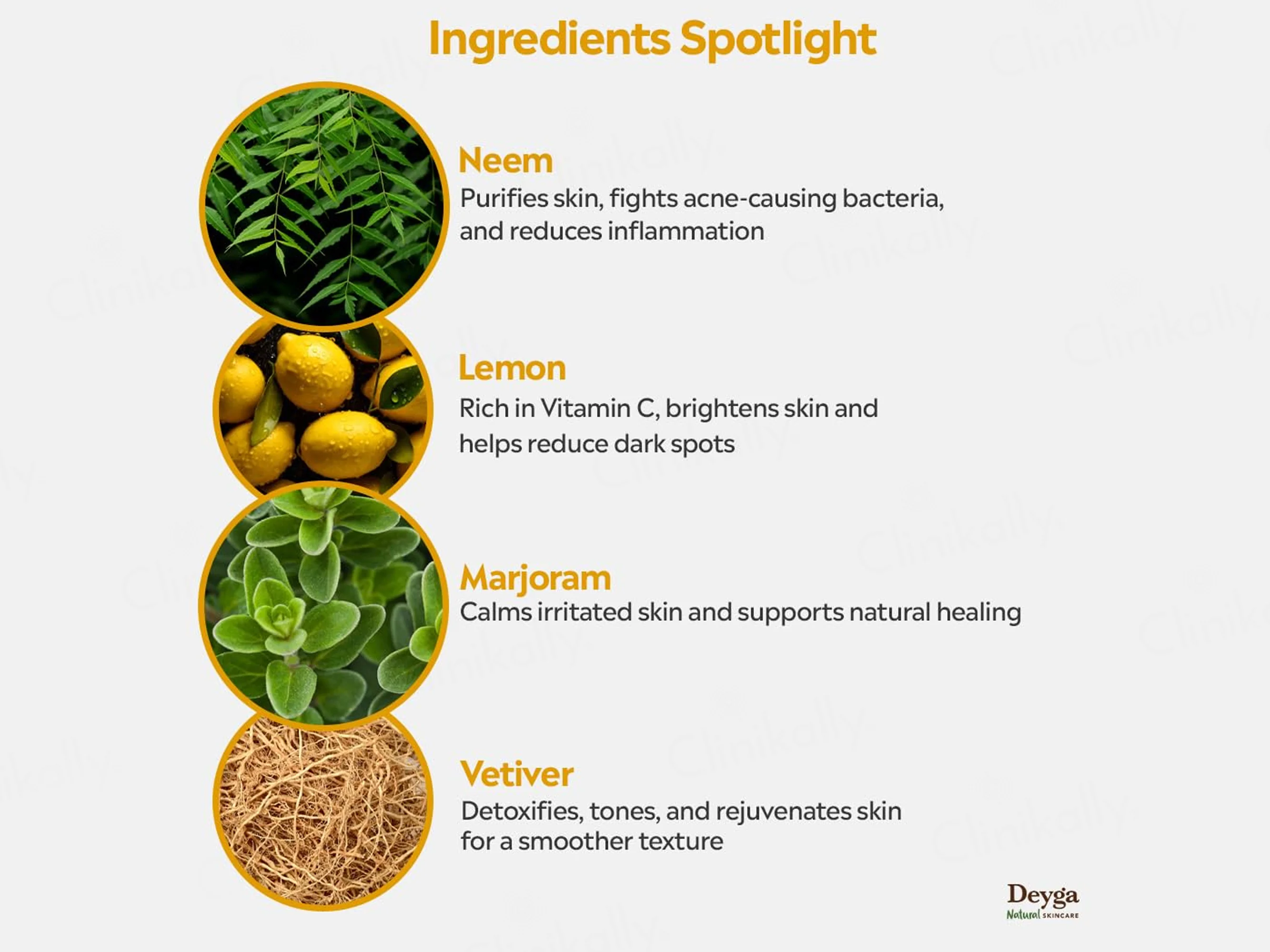 Deyga Exfoliator Scrub - Image 3