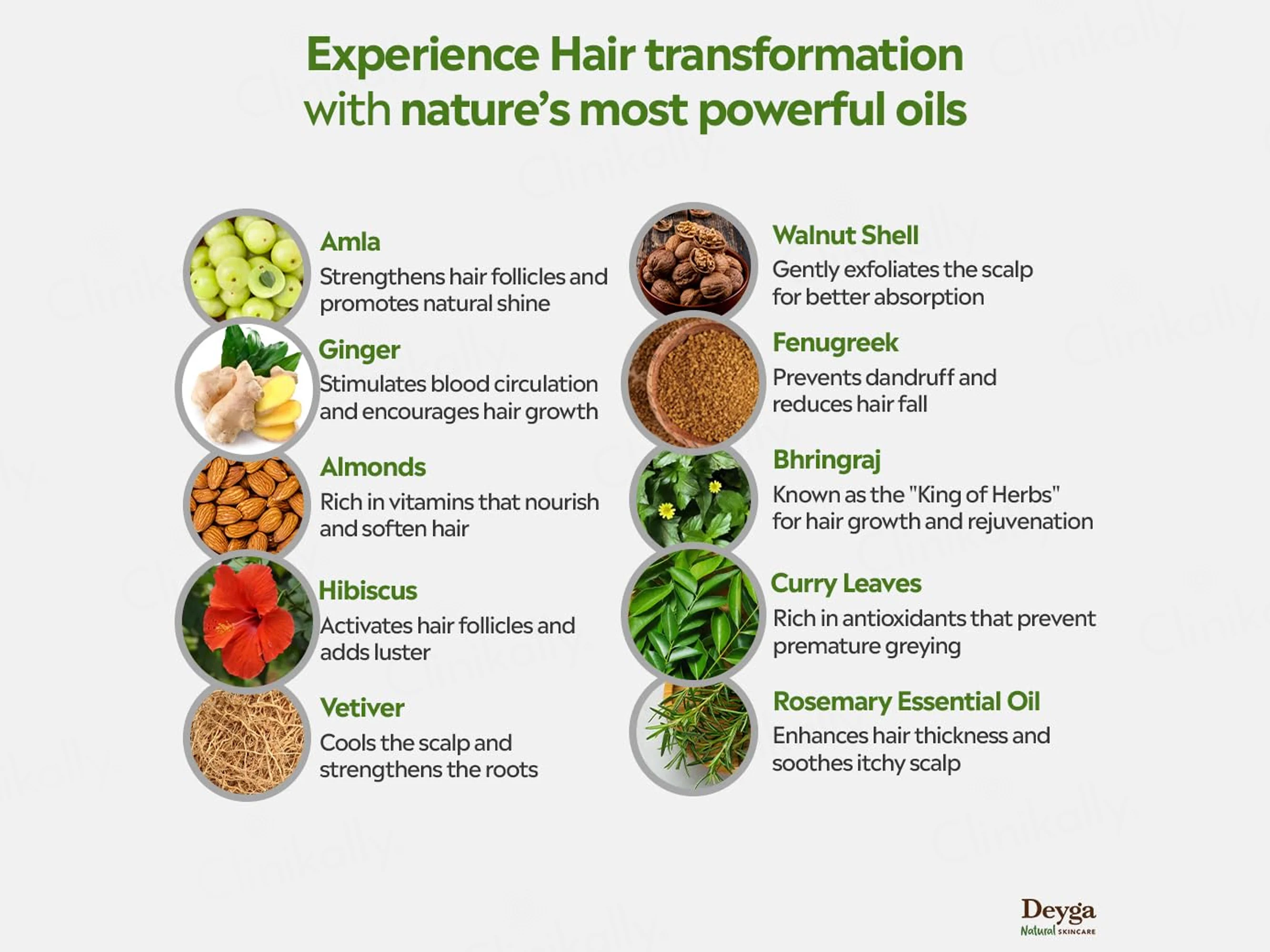 Deyga Hair Growth Oil - Image 2