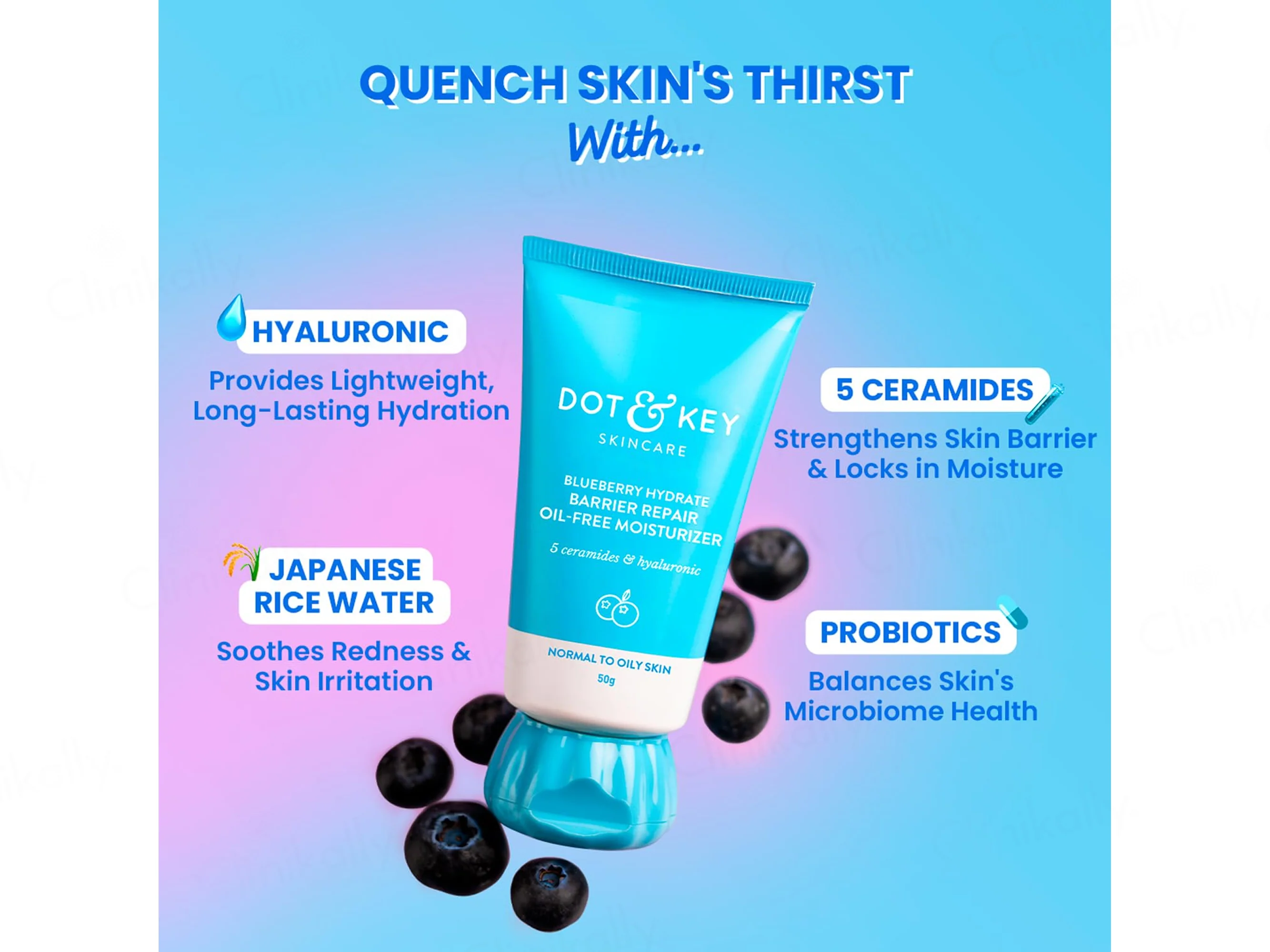 Dot & Key Blueberry Hydrate Barrier Repair Oil-Free Moisturizer - Image 3
