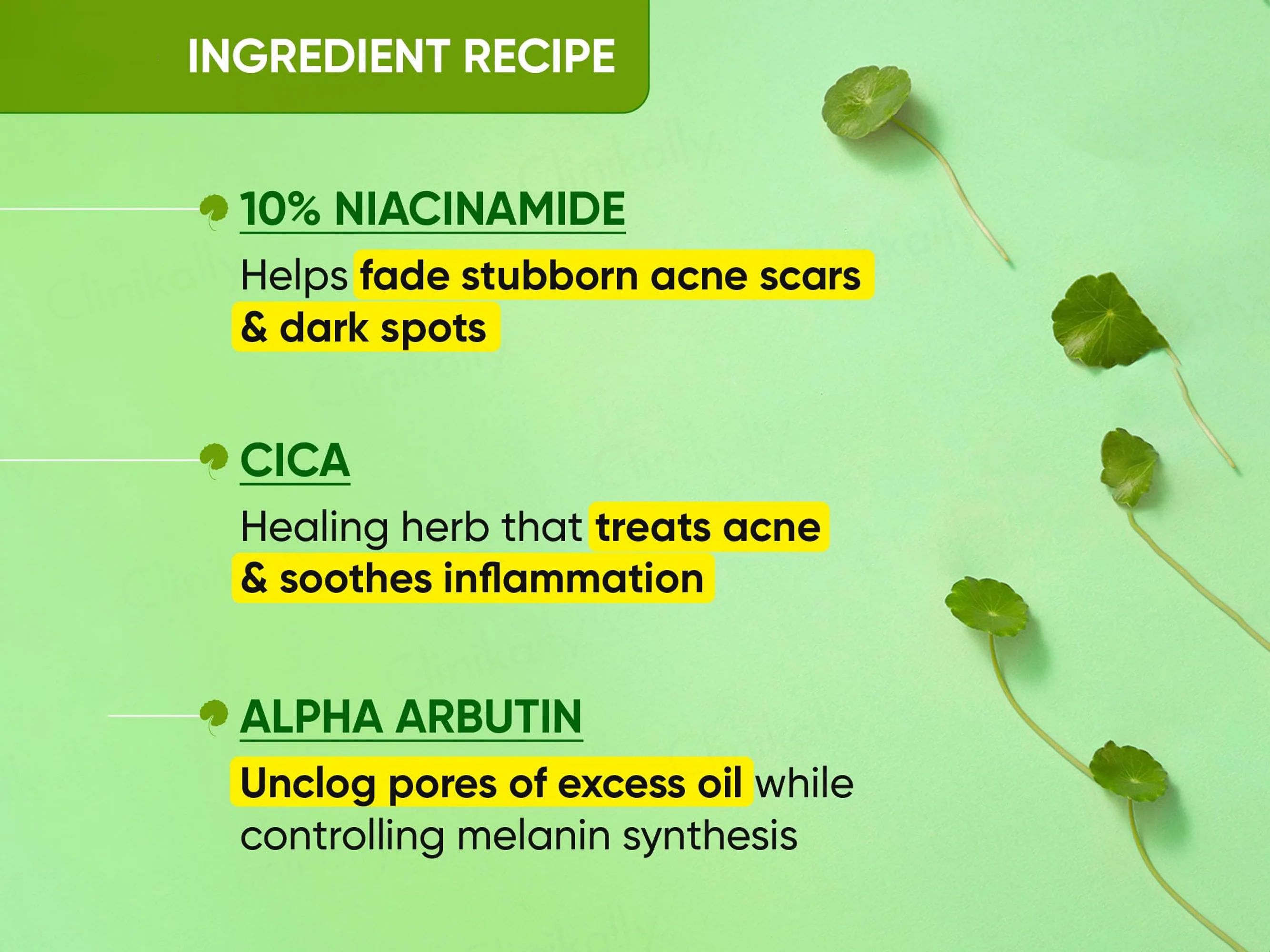 Dot & Key Cica + 10% Niacinamide Spot Reduction Face Serum - Image 4