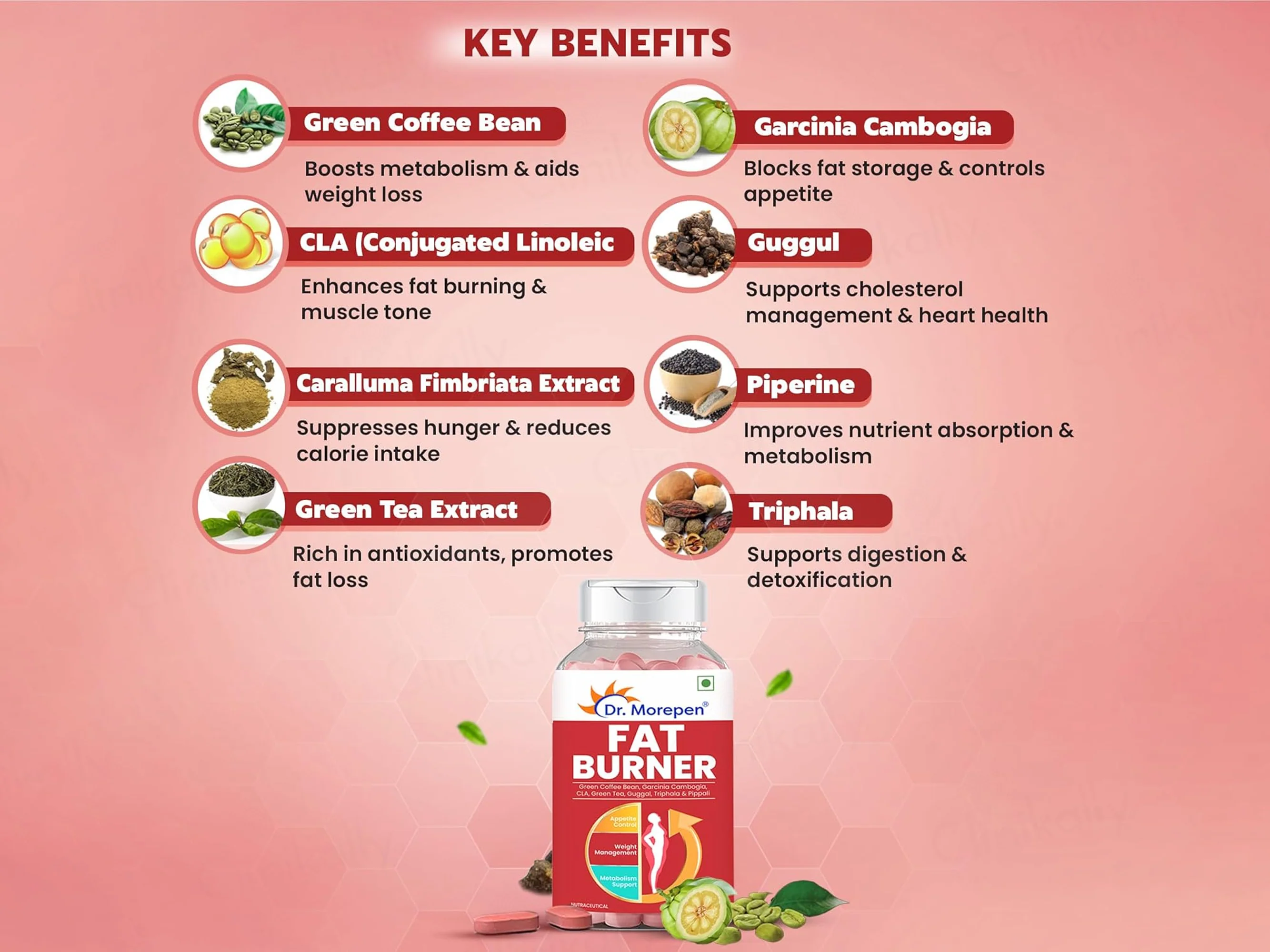 Dr. Morepen Fat Burner Nutraceutical Tablet - Image 3