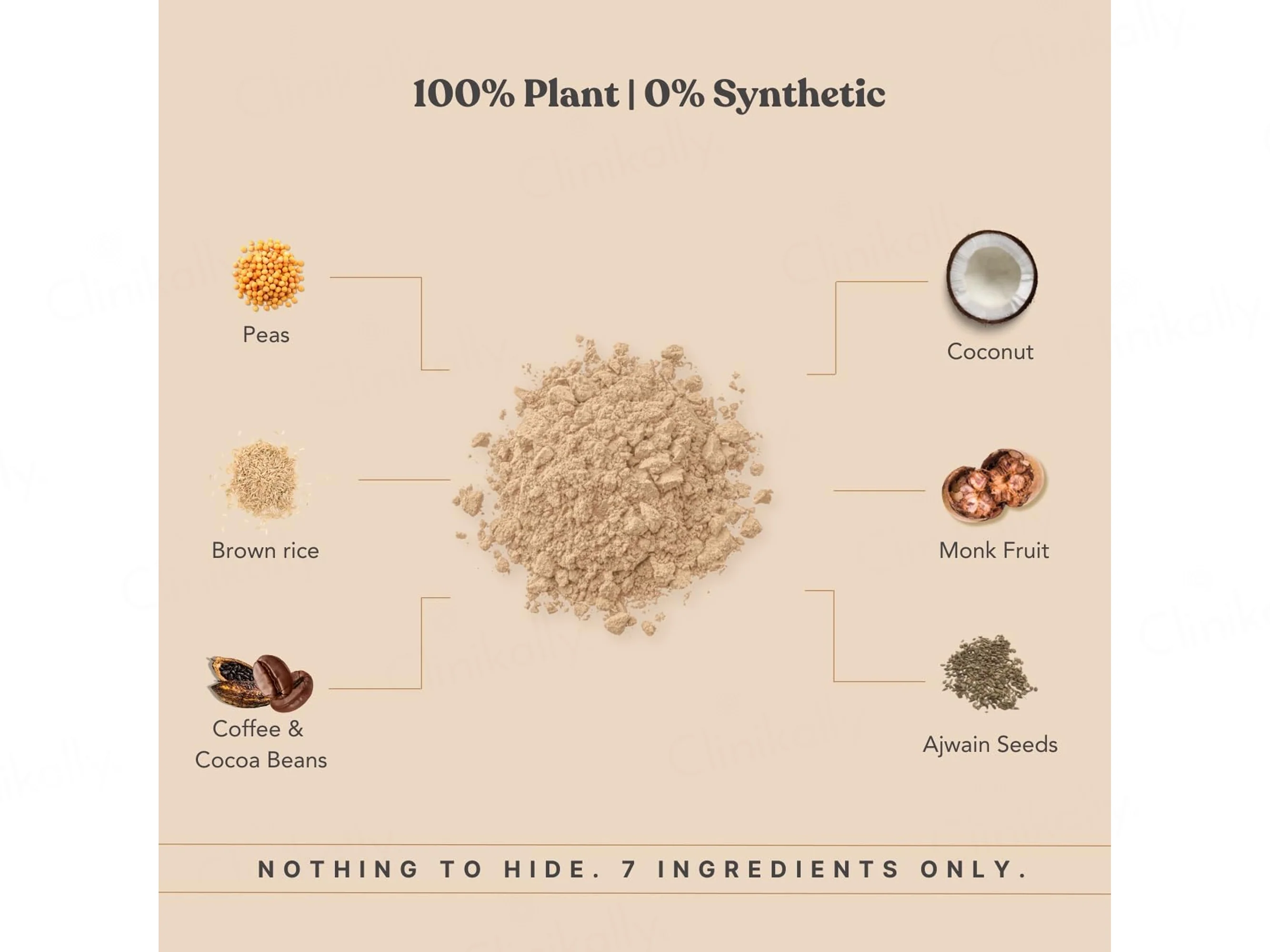 Earthful Honest Plant Protein Nutraceutical Powder - Image 12