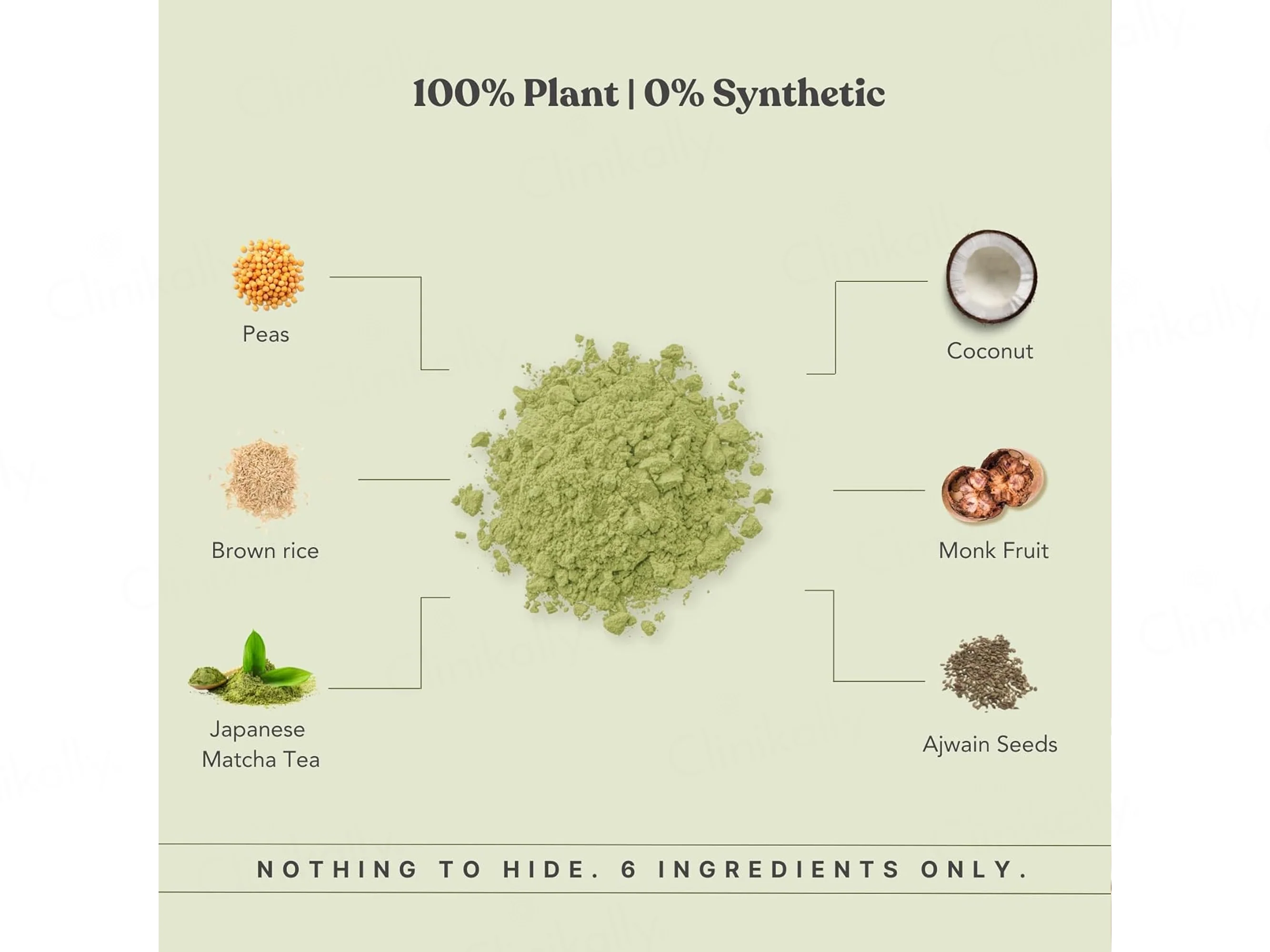Earthful Honest Plant Protein Nutraceutical Powder - Image 3