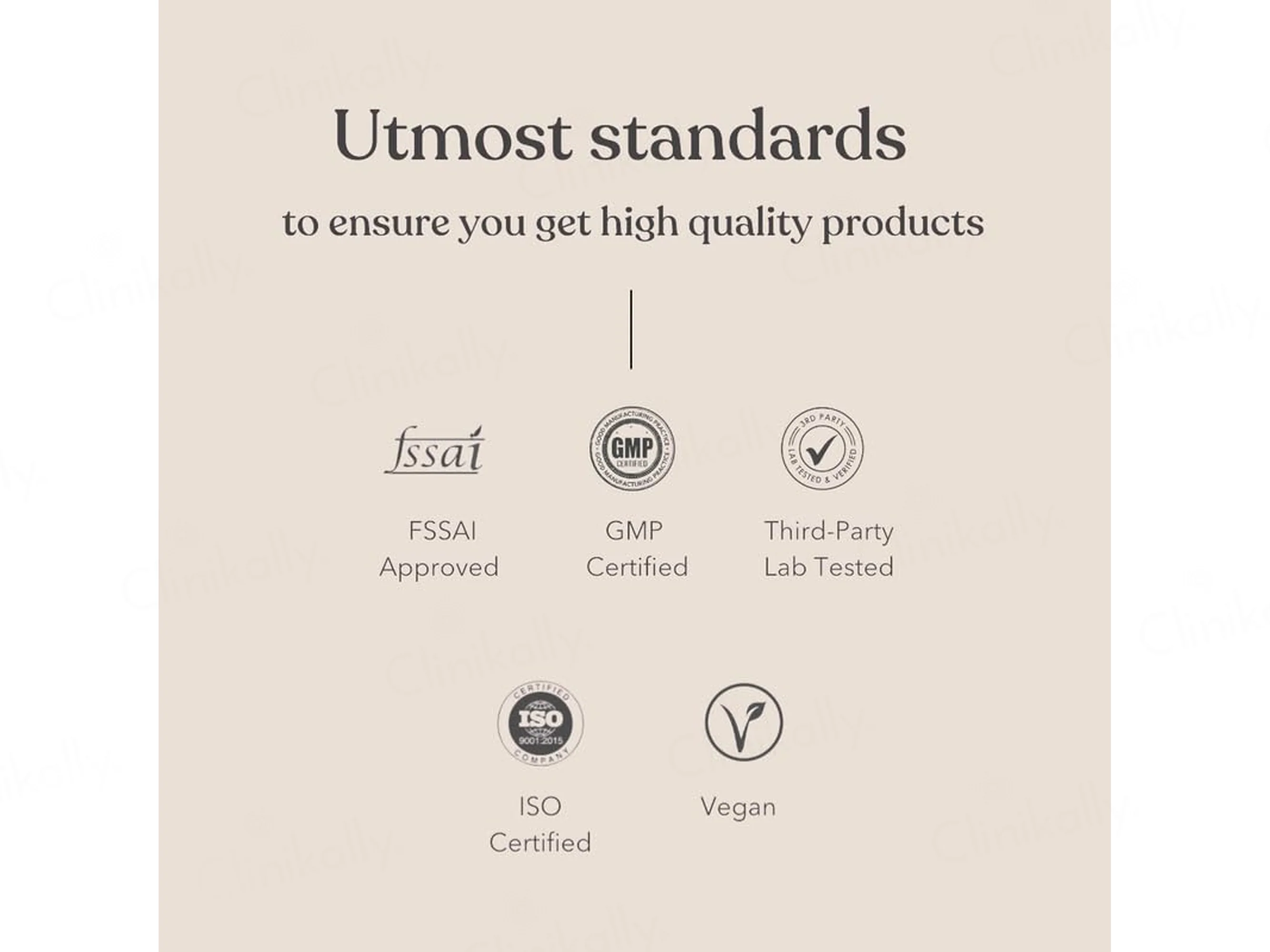 Earthful Honest Plant Protein Nutraceutical Powder - Image 6