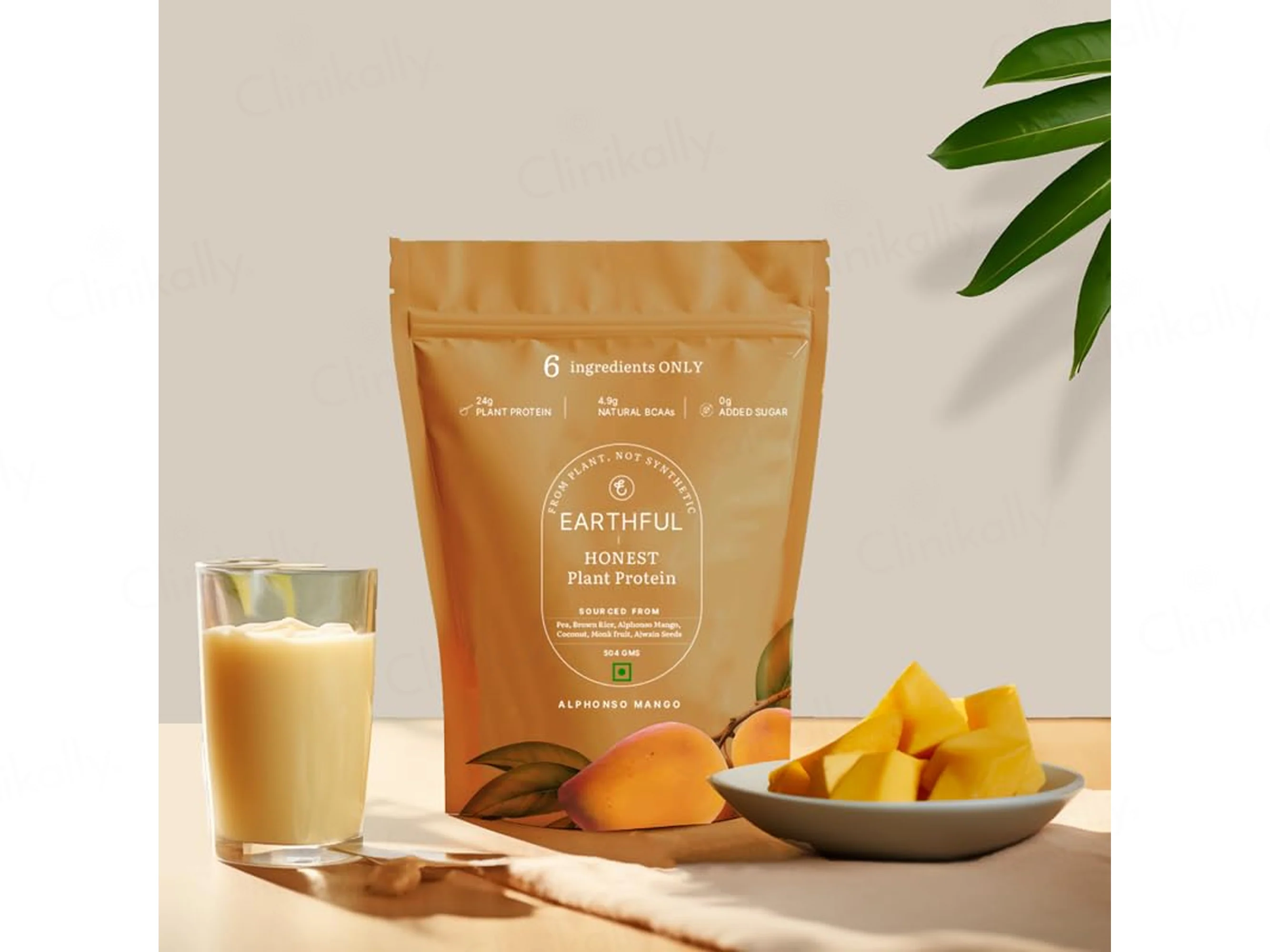 Earthful Honest Plant Protein Nutraceutical Powder - Image 8