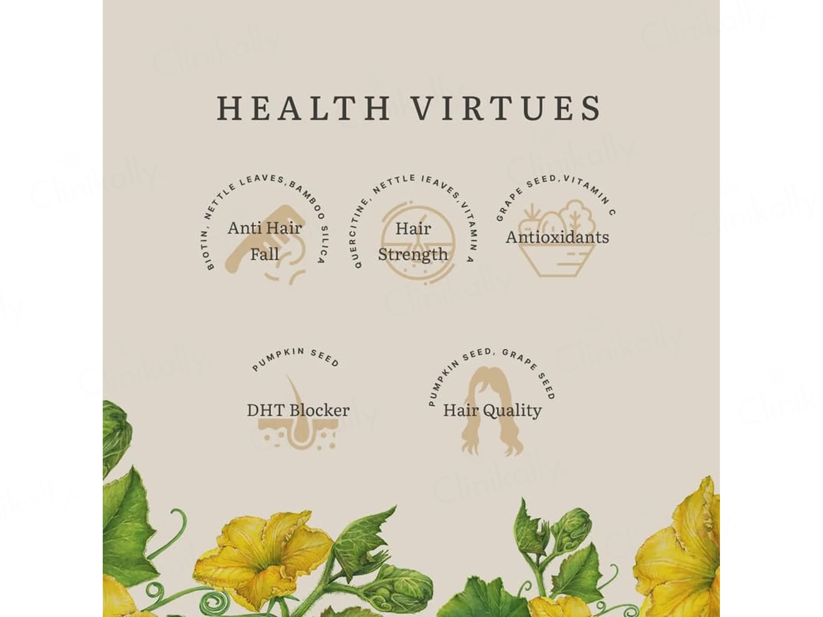 Earthful Root Nourish Biotin + Quercetin Nutraceutical Veg Capsule - Image 6