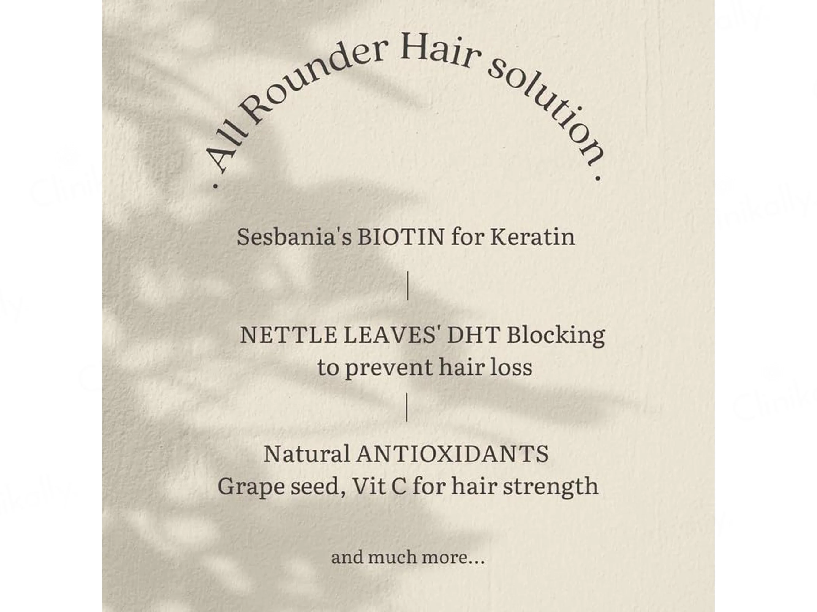 Earthful Root Nourish Biotin + Quercetin Nutraceutical Veg Capsule - Image 7